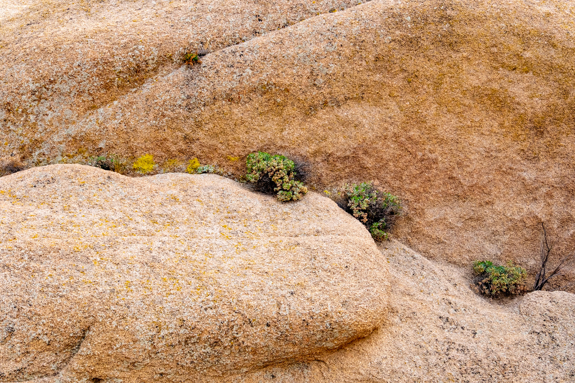 Joshua Tree National Park, California