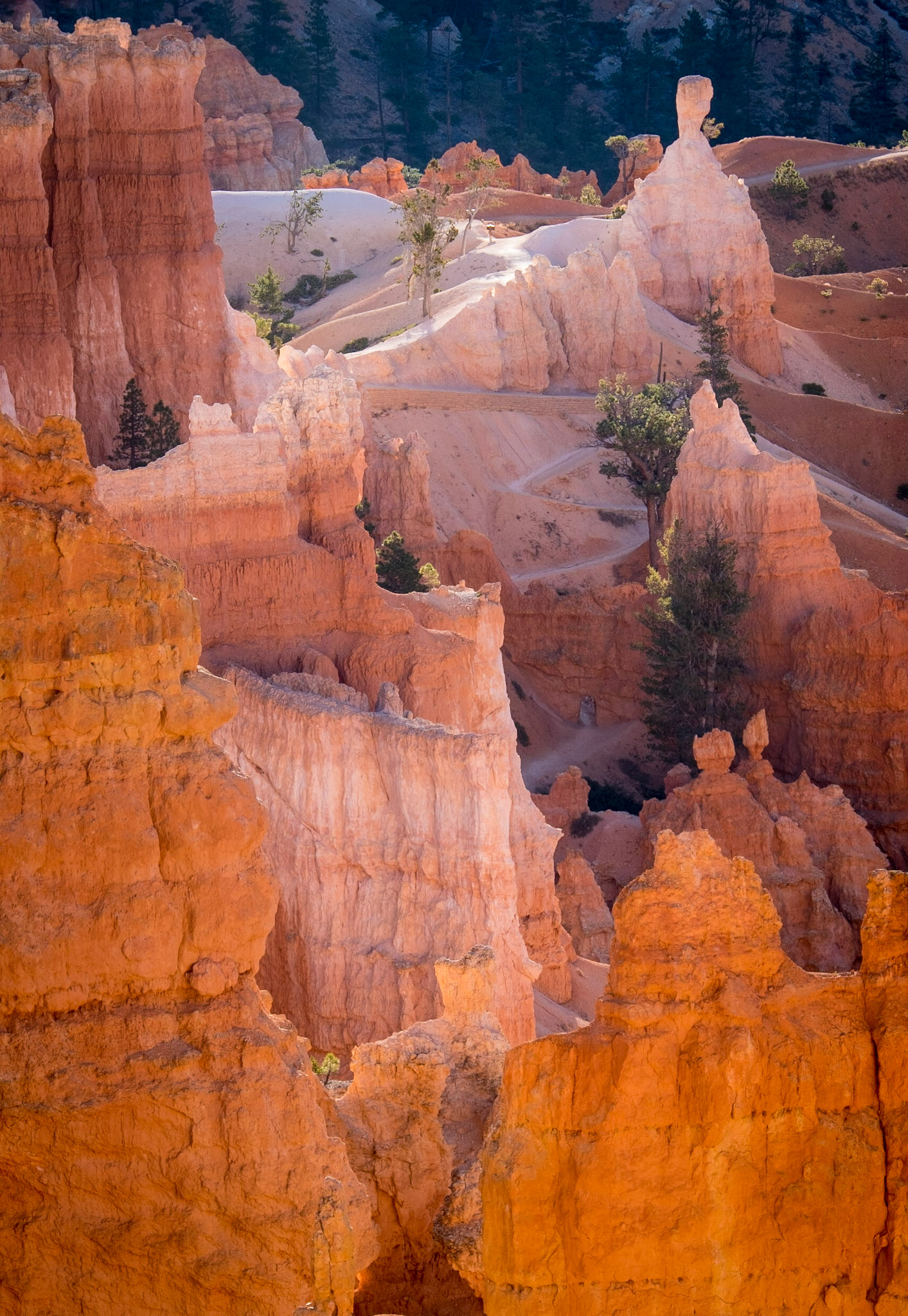 Bryce National Park, Utah