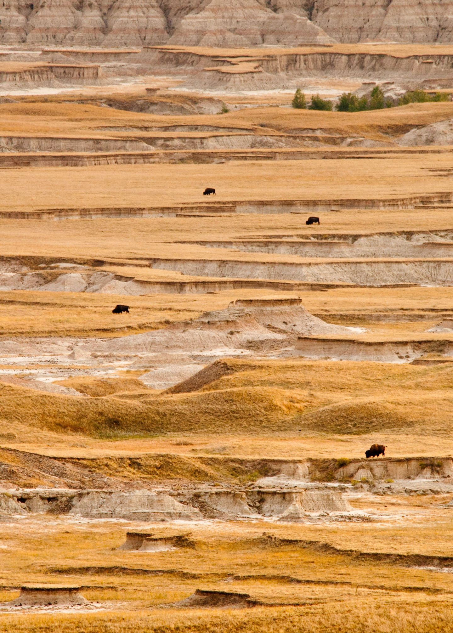 Badlands, South Dakota