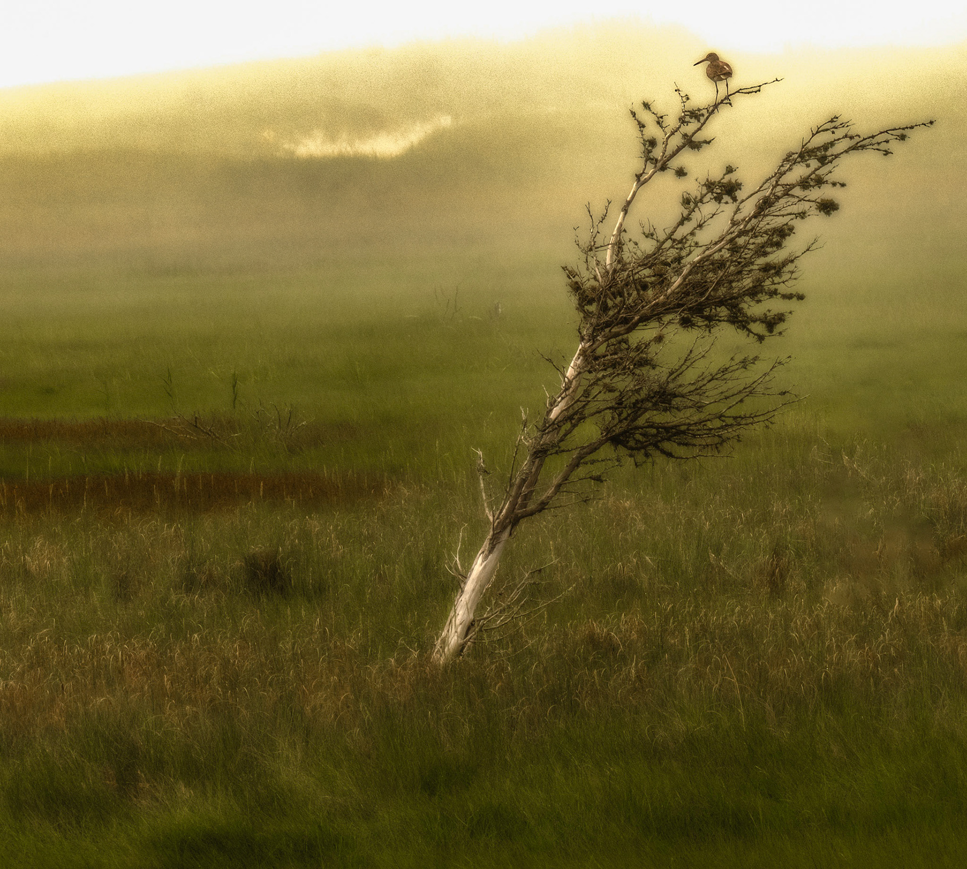 Pochet Neck, Cape Cod, Massachusetts