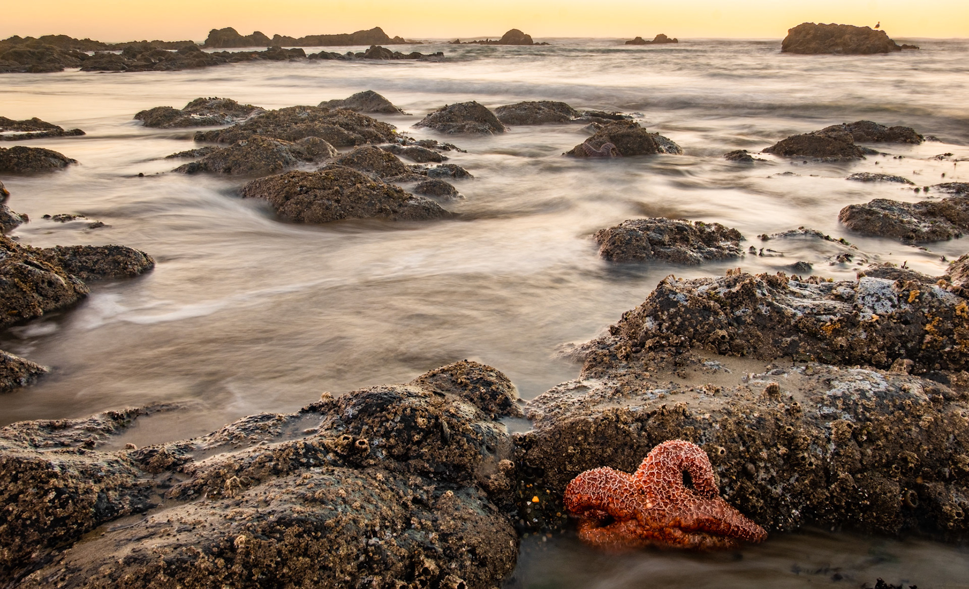 Strawberry Hill, Oregon