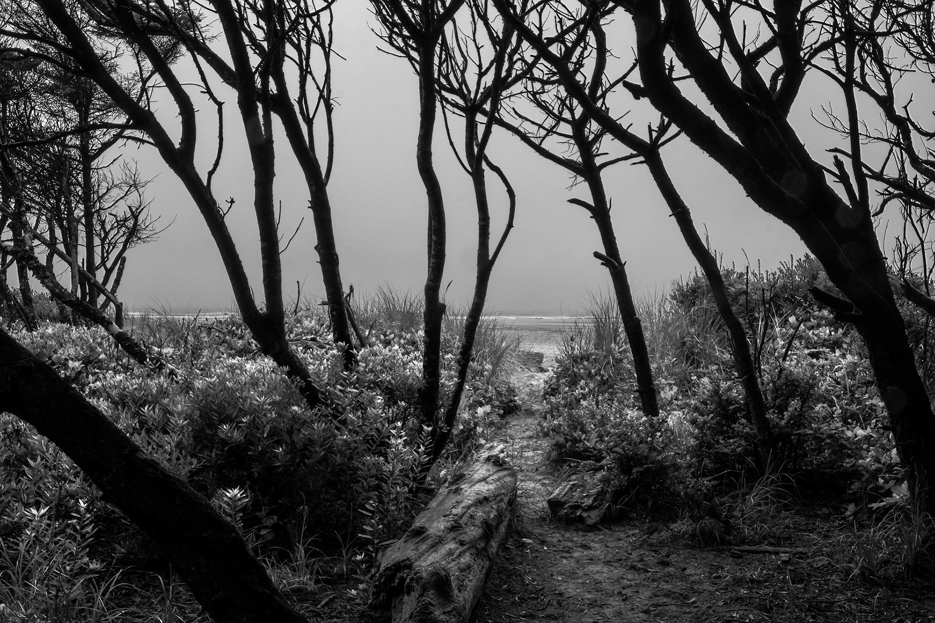 Ono Beach, Oregon