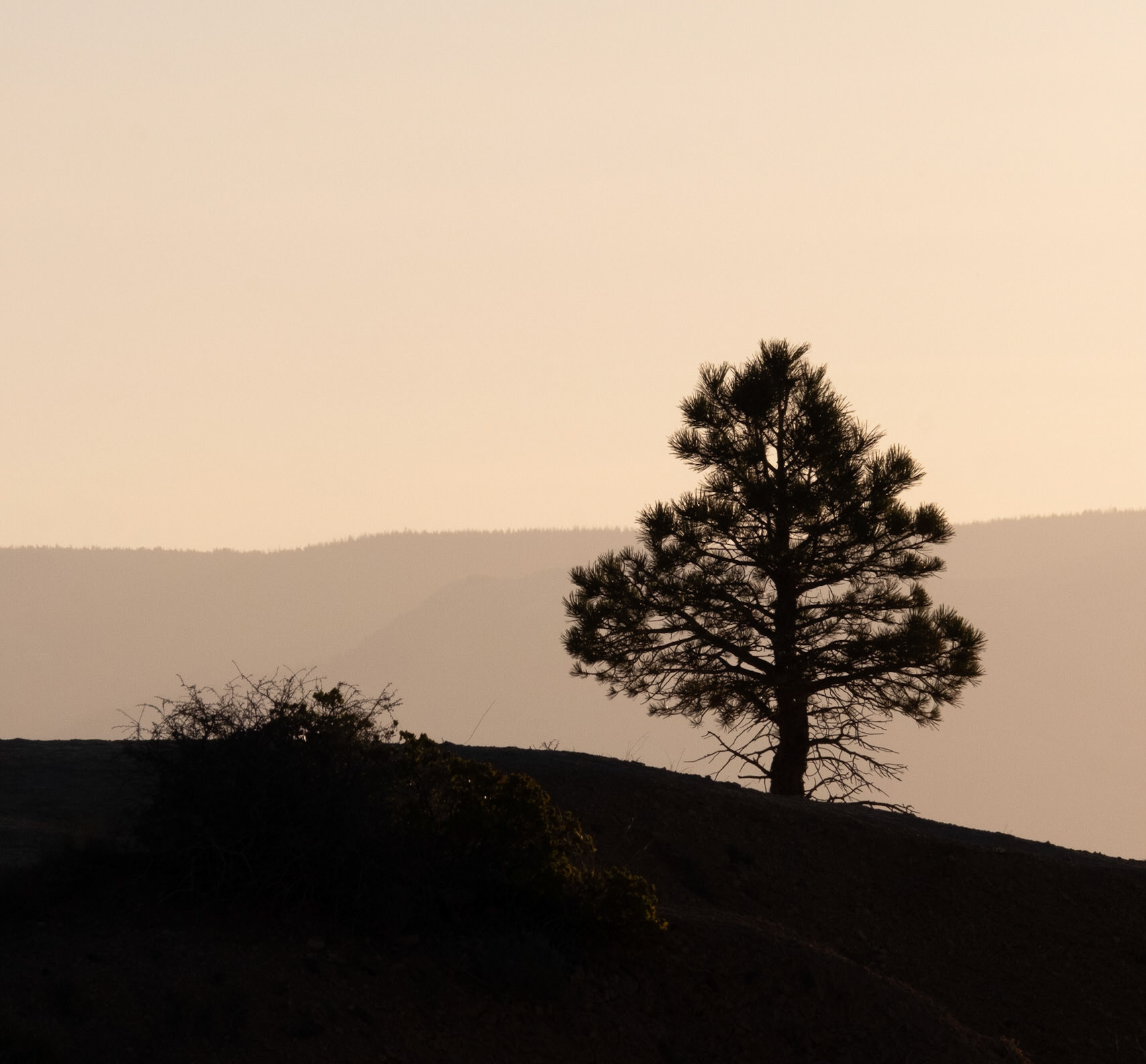 Bryce Canyon National Park, Utah