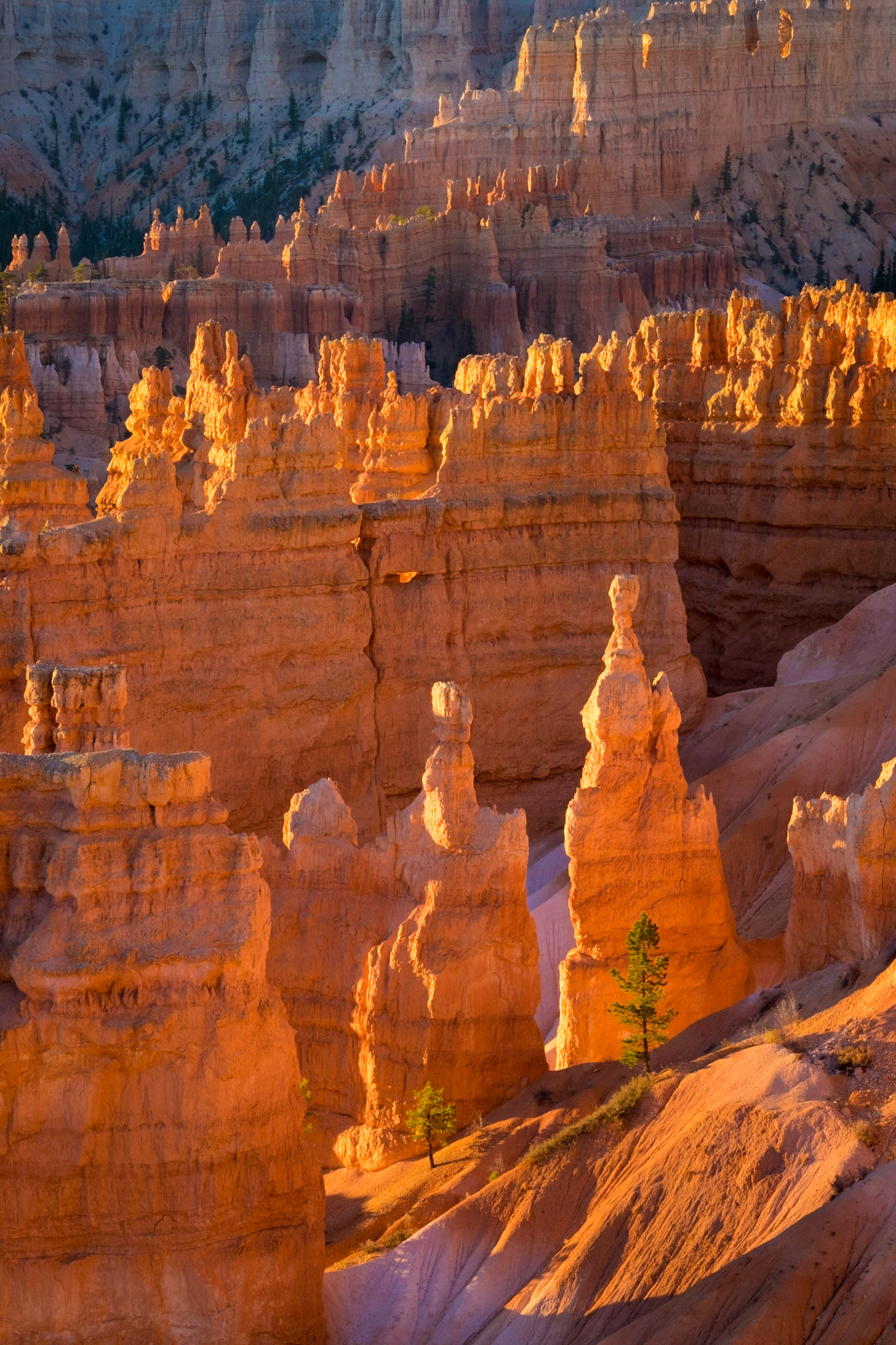 Bryce National Park, Utah