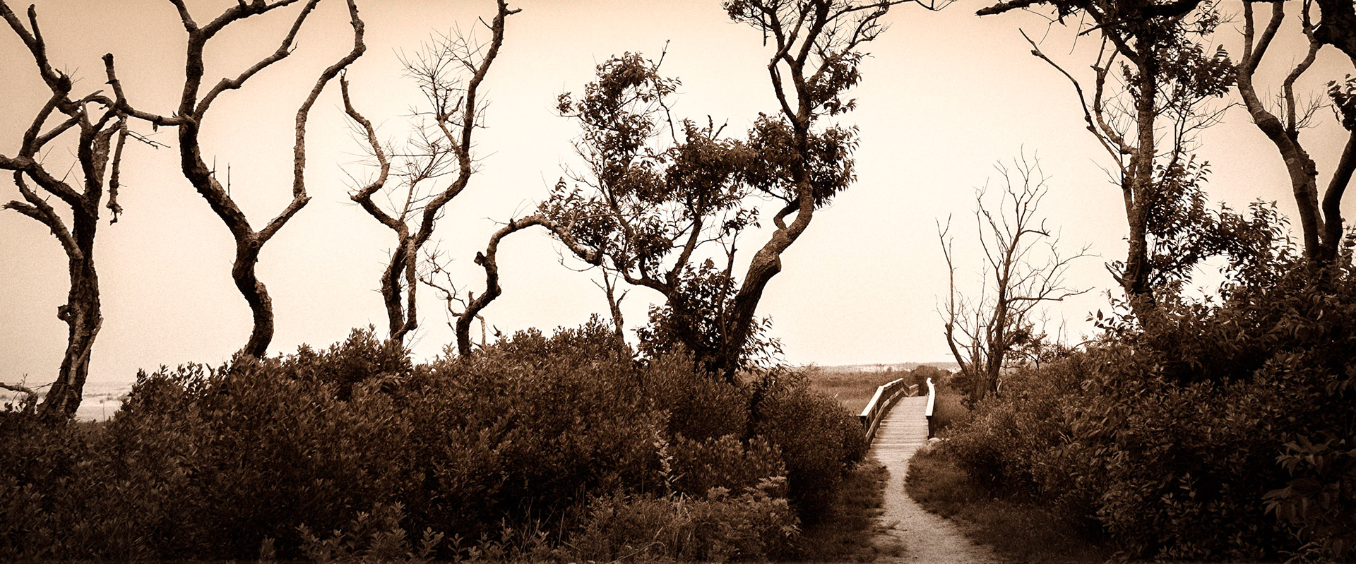 Pochet Neck, Cape Cod, Massachusetts