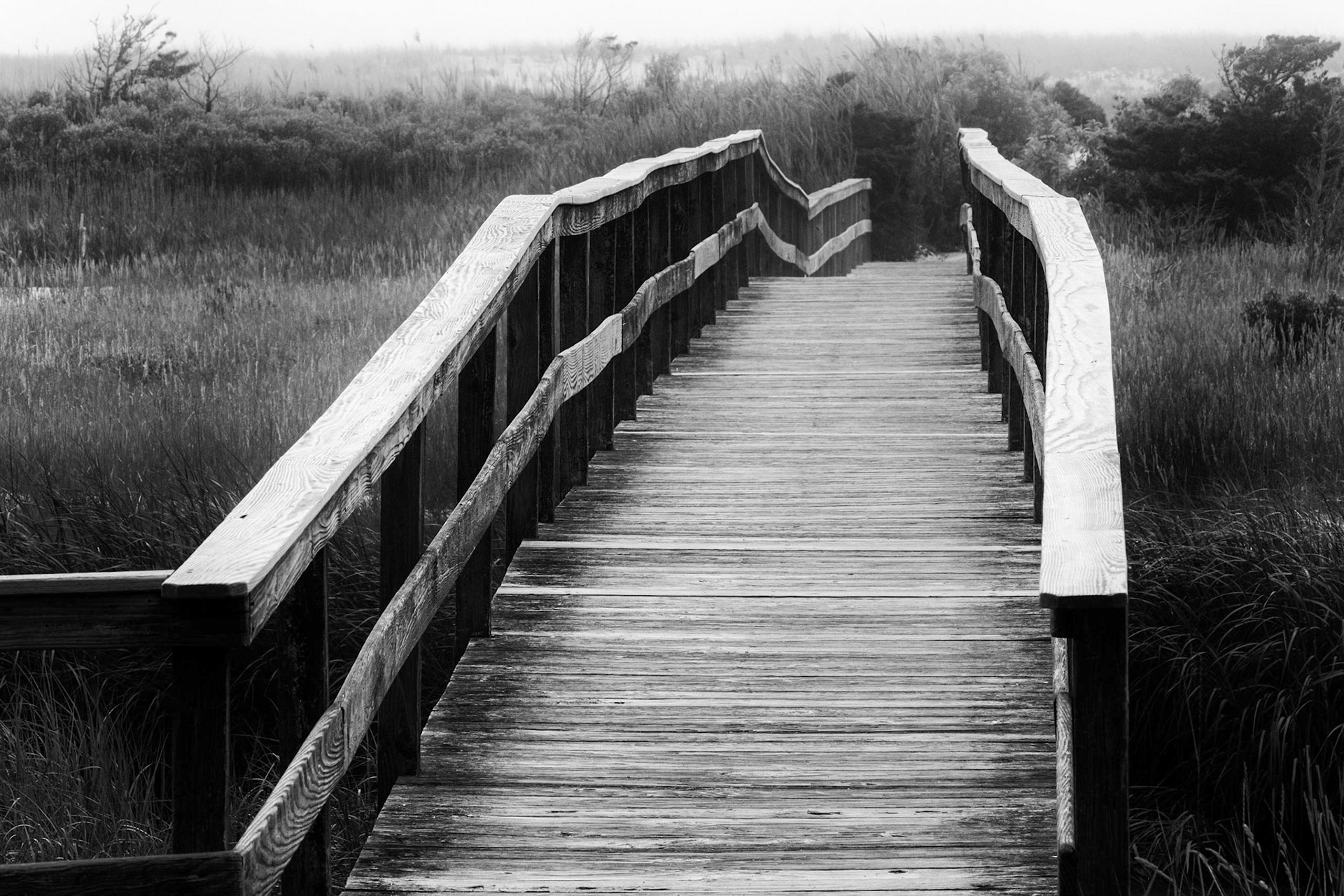 Pochet Neck, Cape Cod, Massachusetts