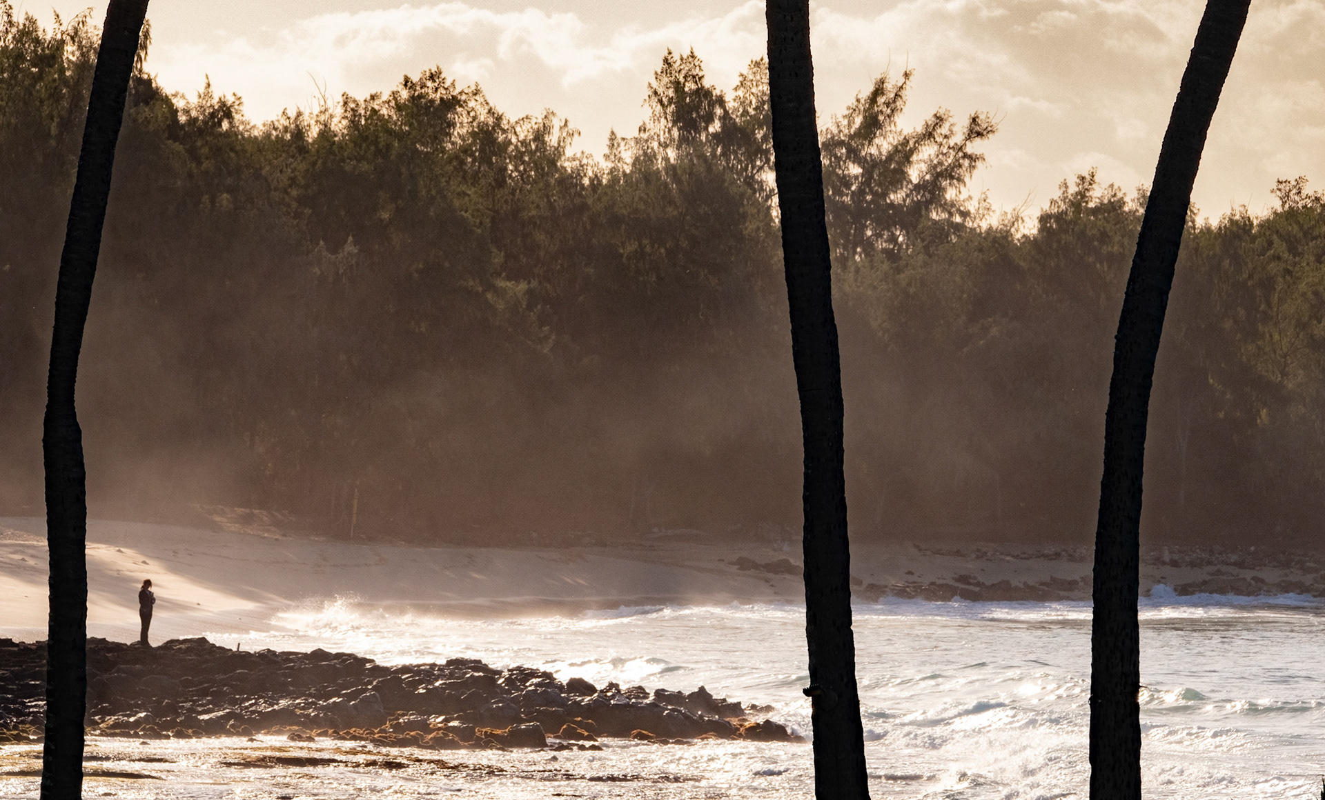 Poipu, South Coast, Kauai, Hawaii