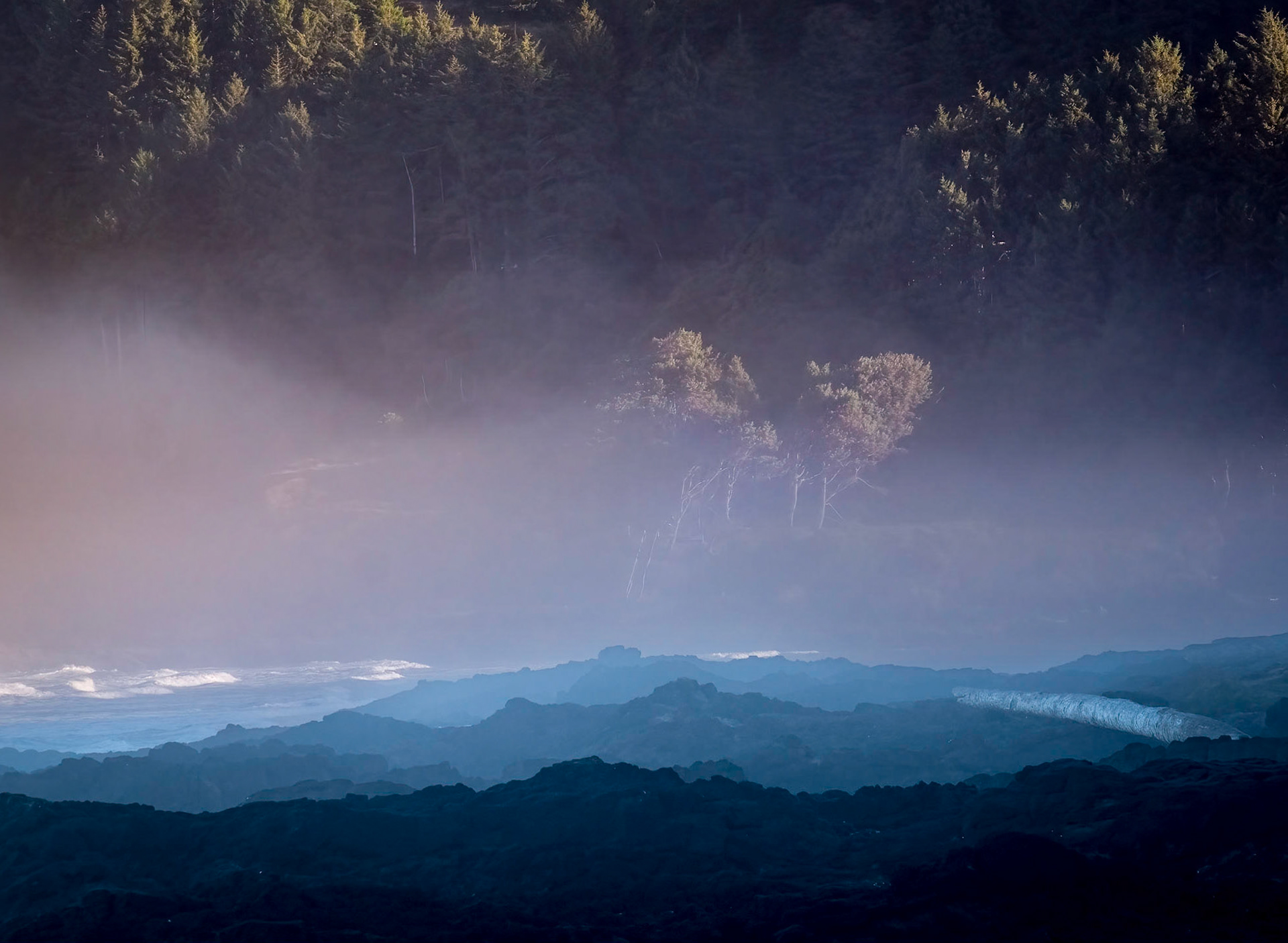 Cape Perpetua, Oregon
