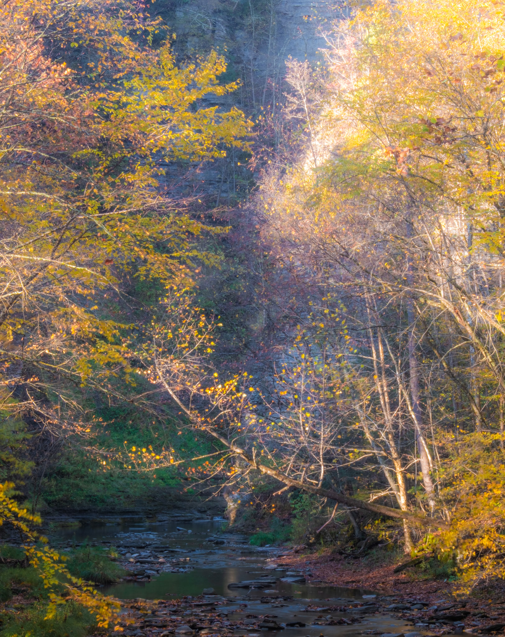 Finger Lakes, New York