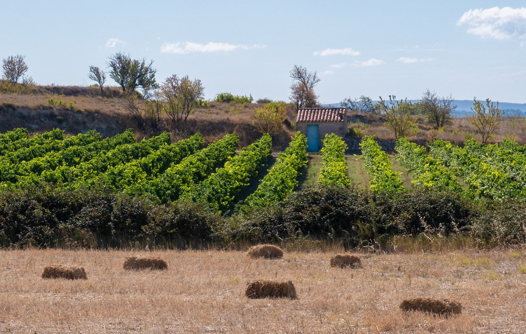 Languedoc, France