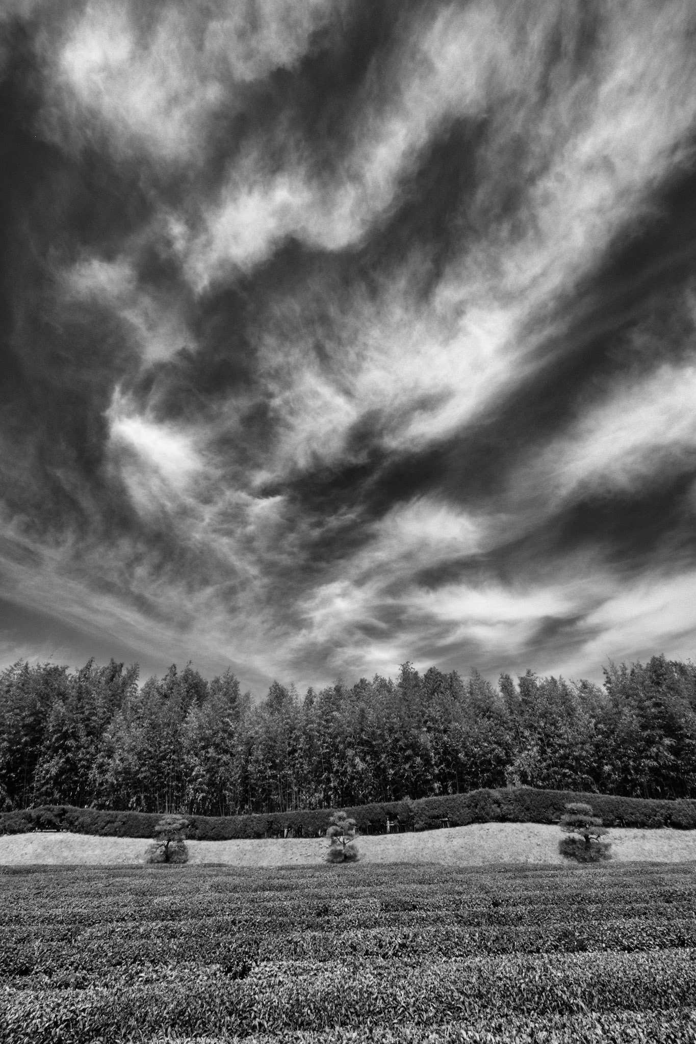 Korakuen Garden, Okayama, Japan