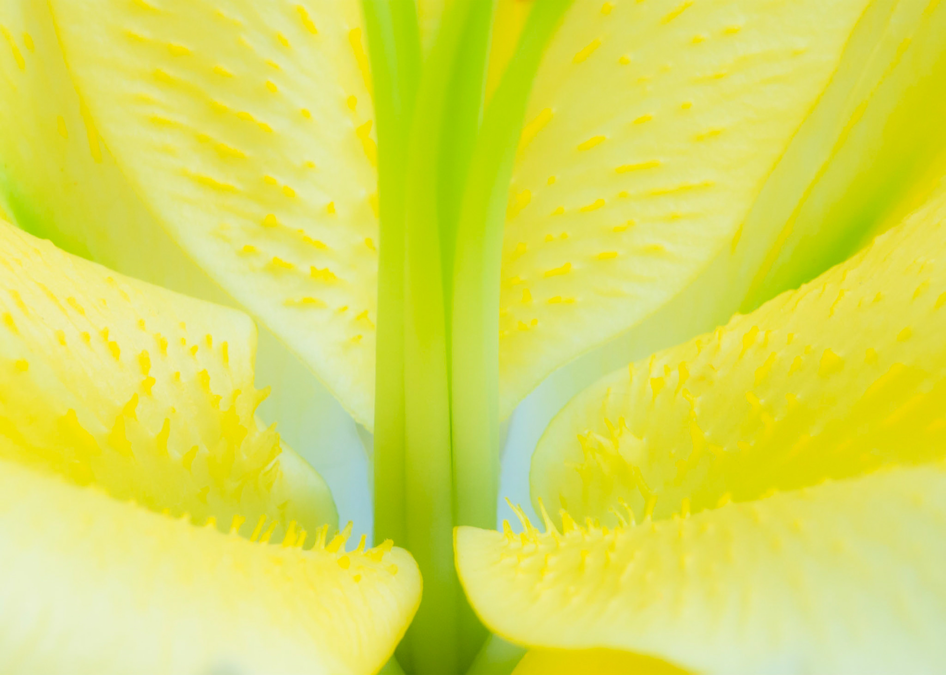 Longwood Gardens, Kennett Square, Pennsylvania