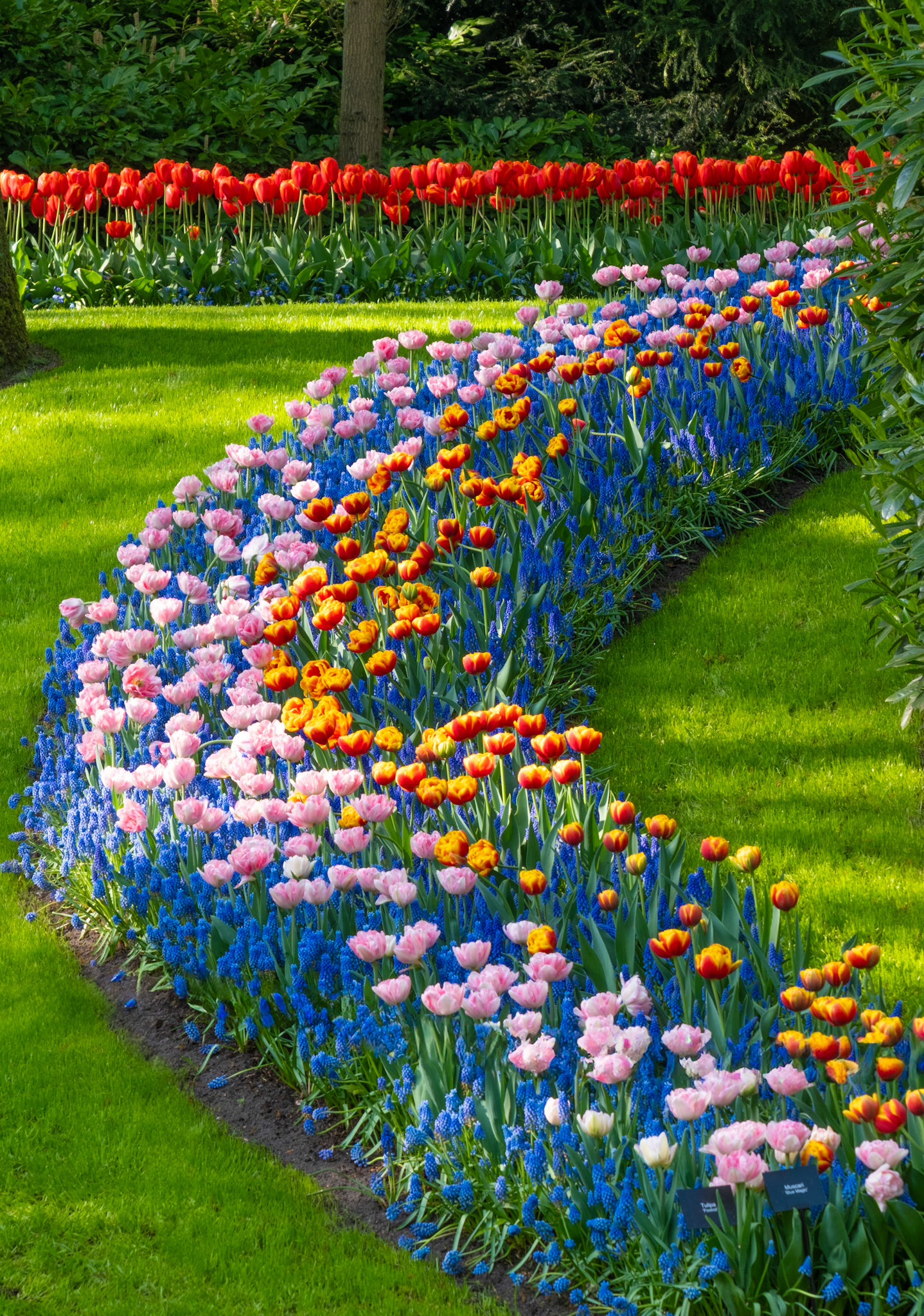 Keukenhof, The Netherlands