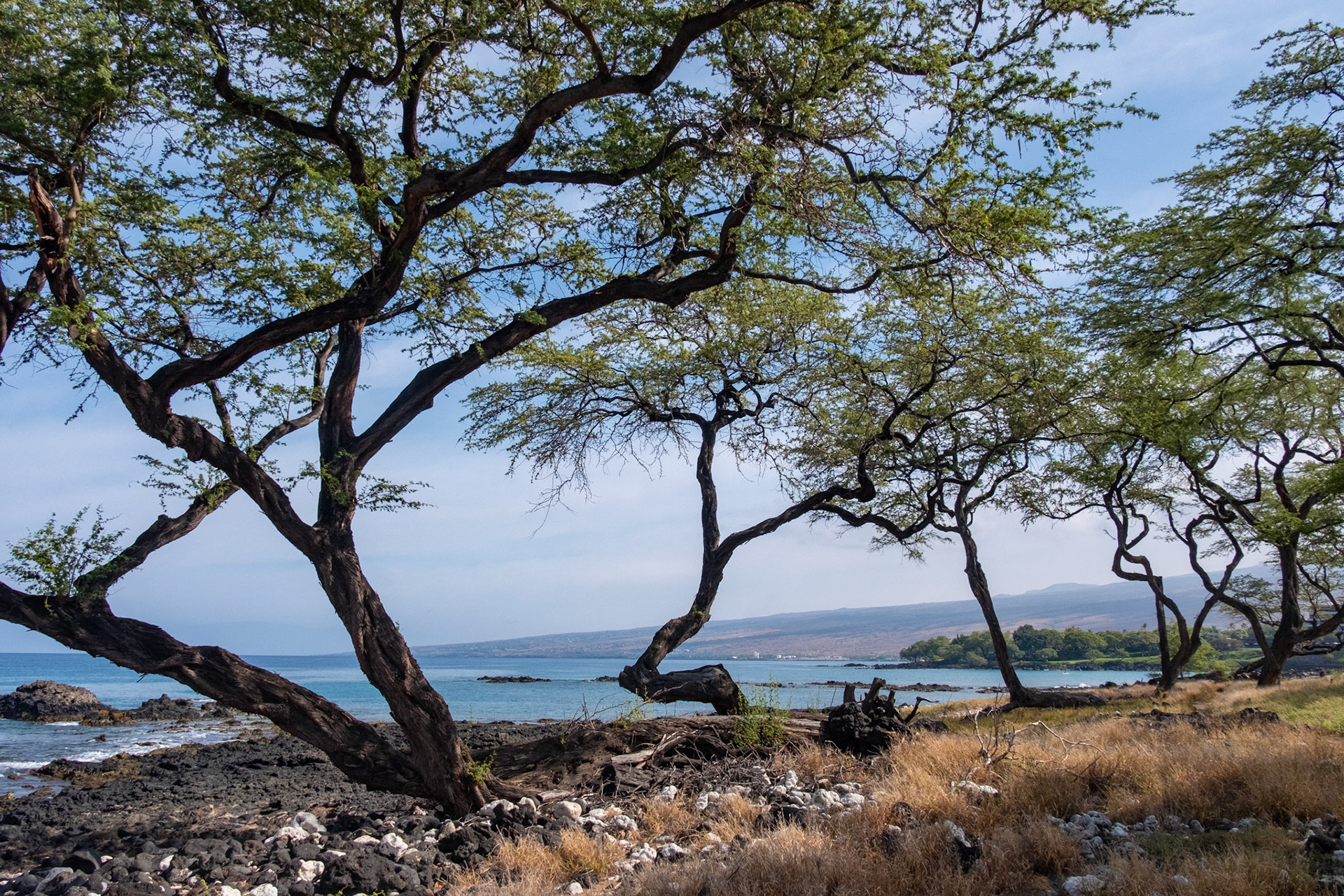 Mauna Kea, Big Island, Hawaii