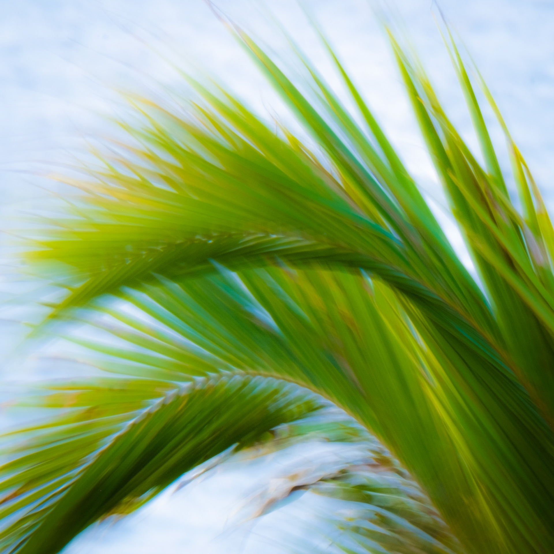 North Coast Kauai, Hawaii