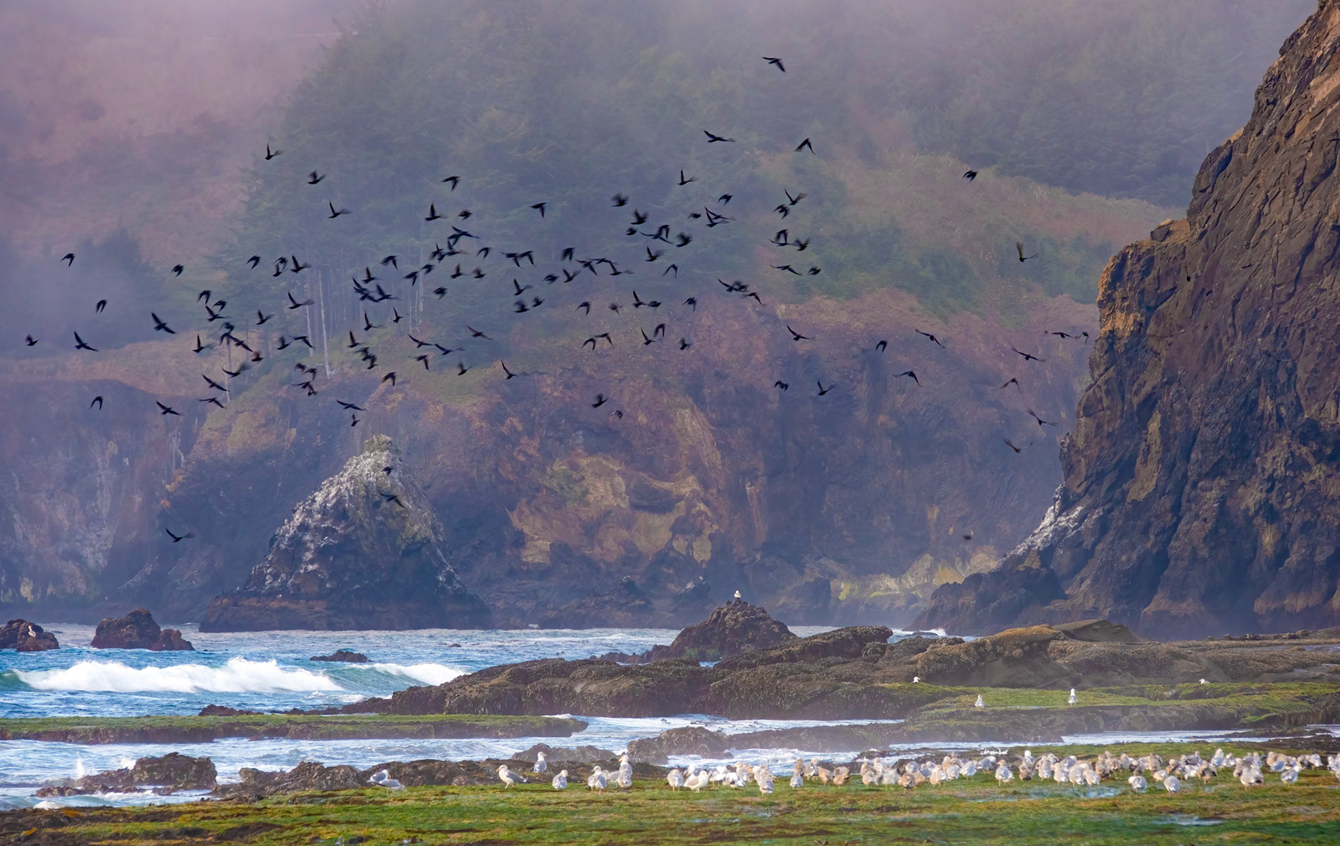 Devil's Punchbowl, Oregon