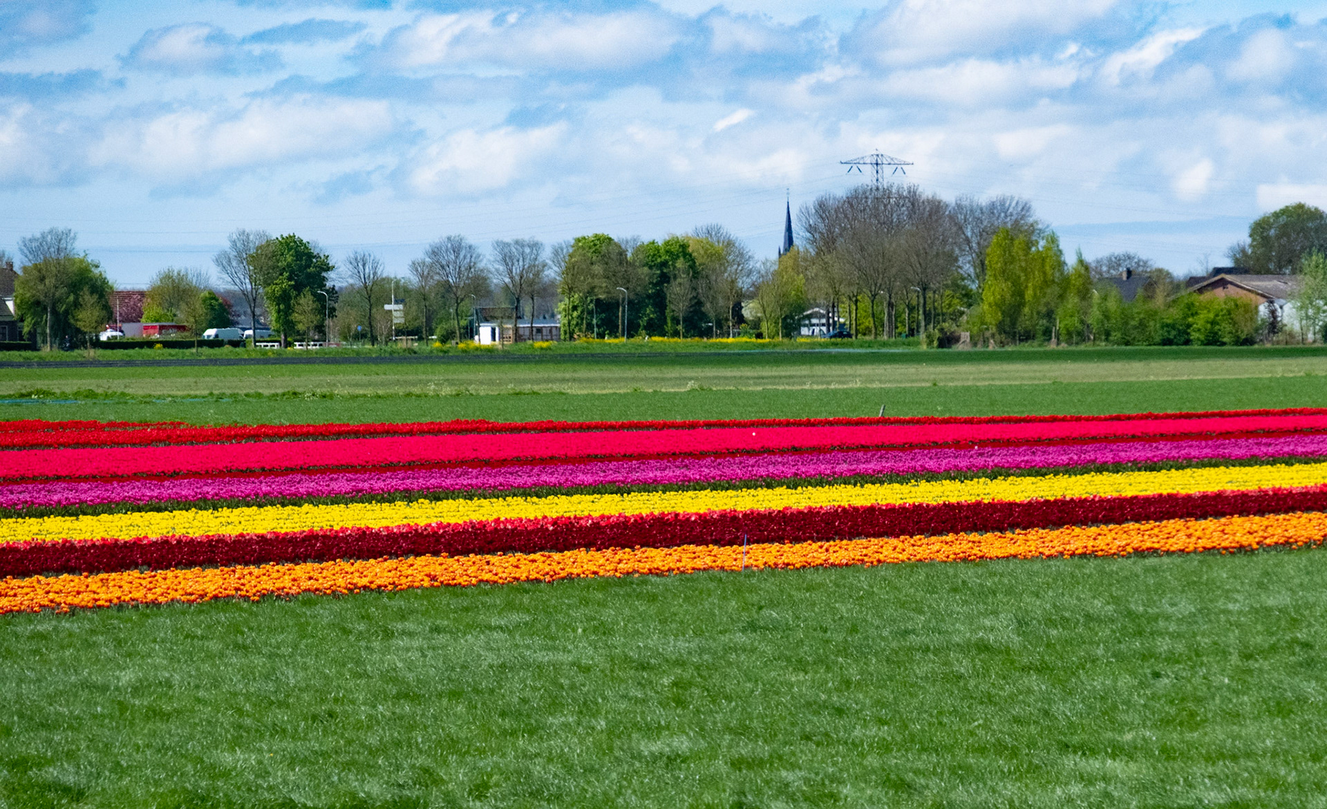North Holland, The Netherlands