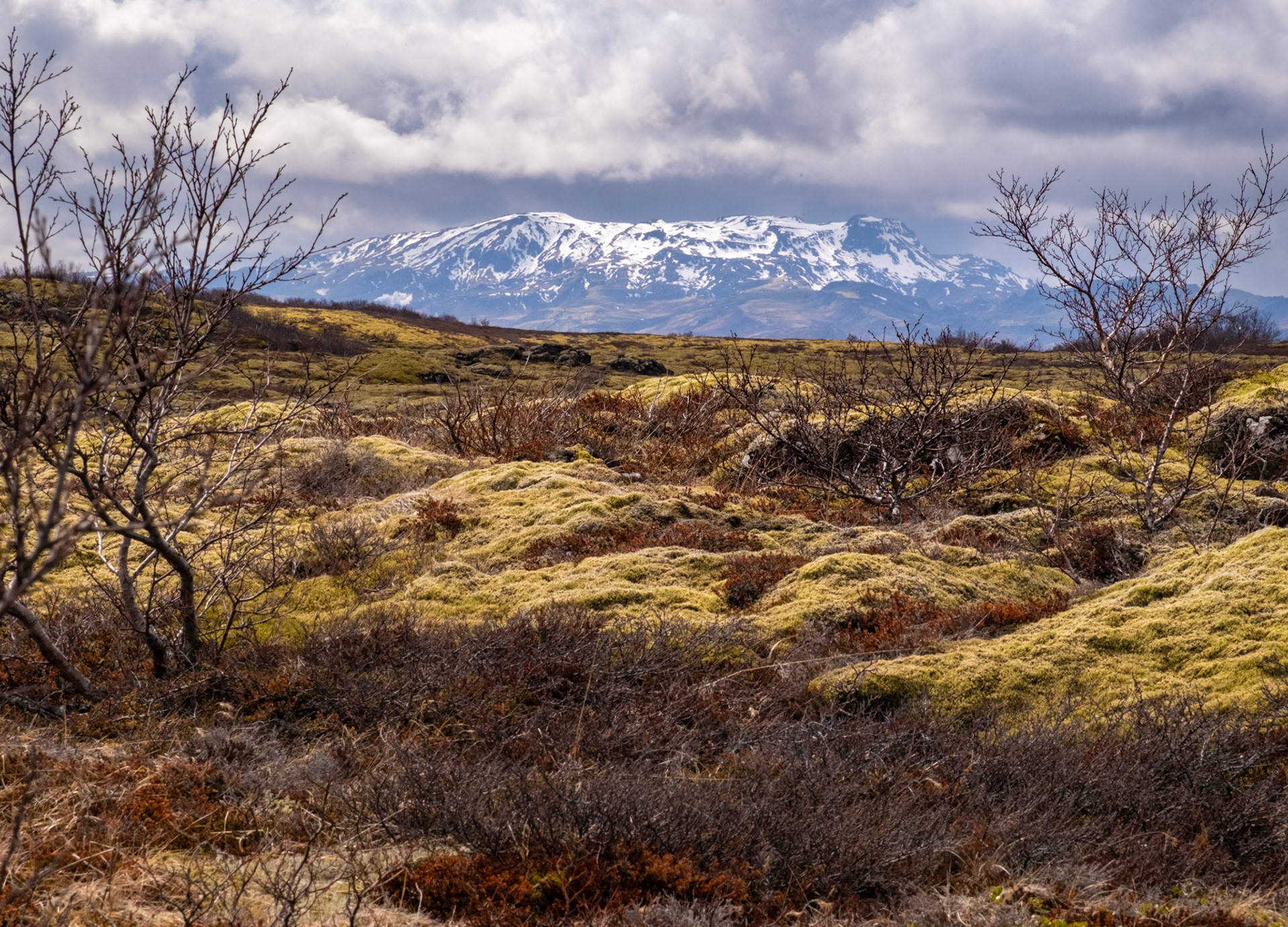 Þingvellir National Park, Golden CIrcle, Iceland