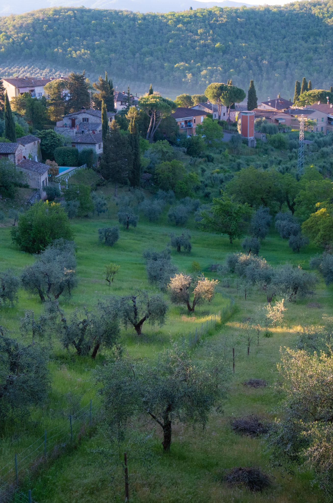 Radda-in-Chianti, Italy