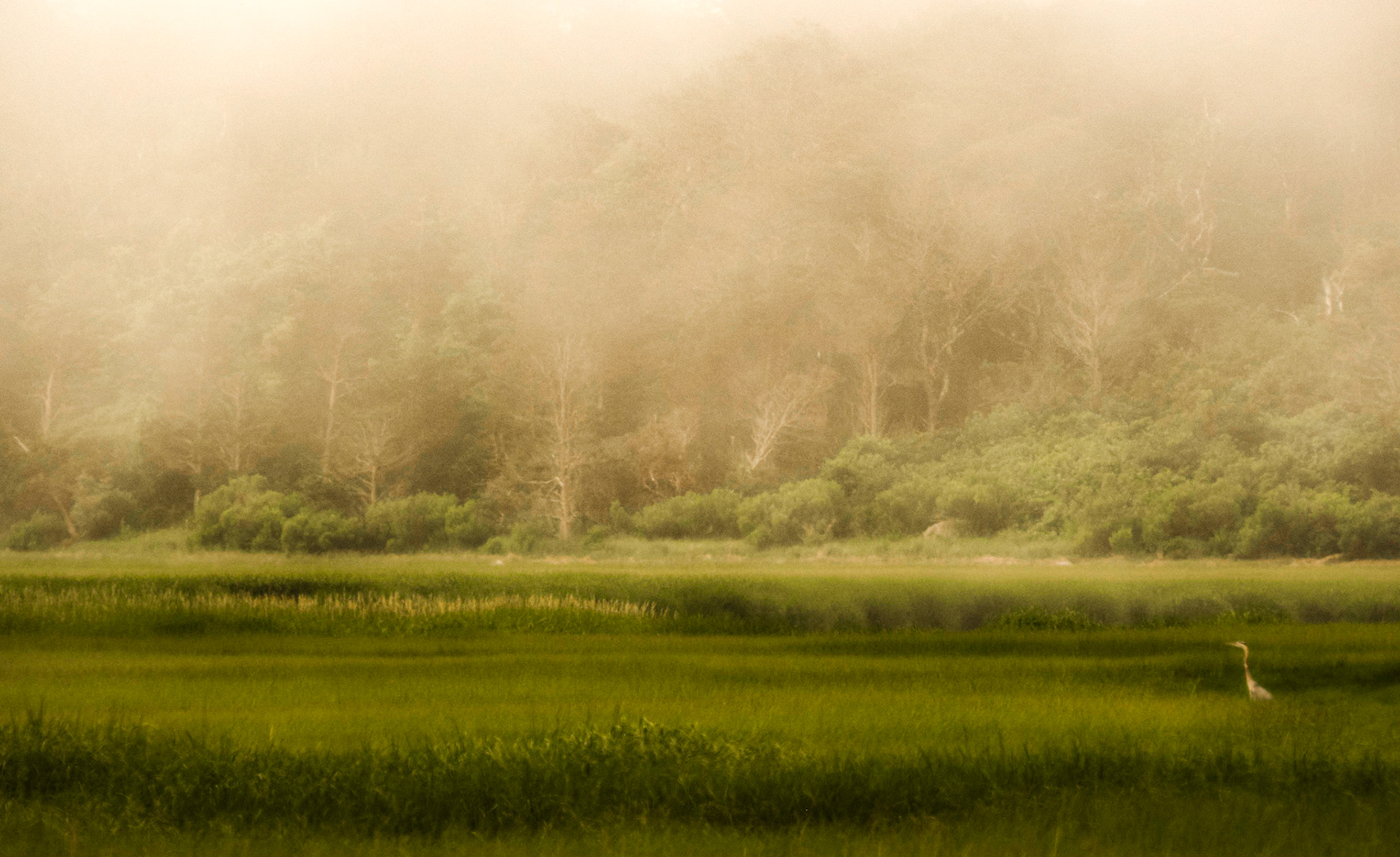 Pochet Neck, Cape Cod, Massachusetts