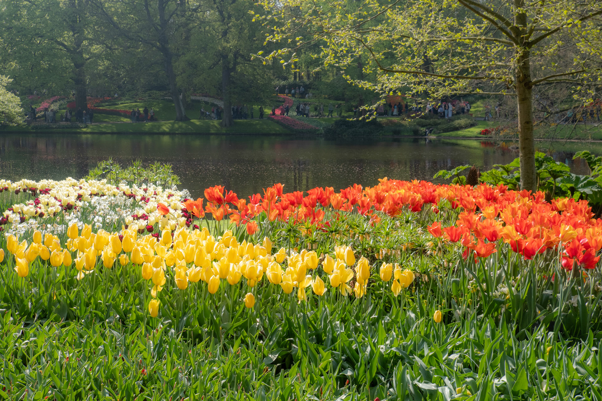 Keukenhof, The Netherlands