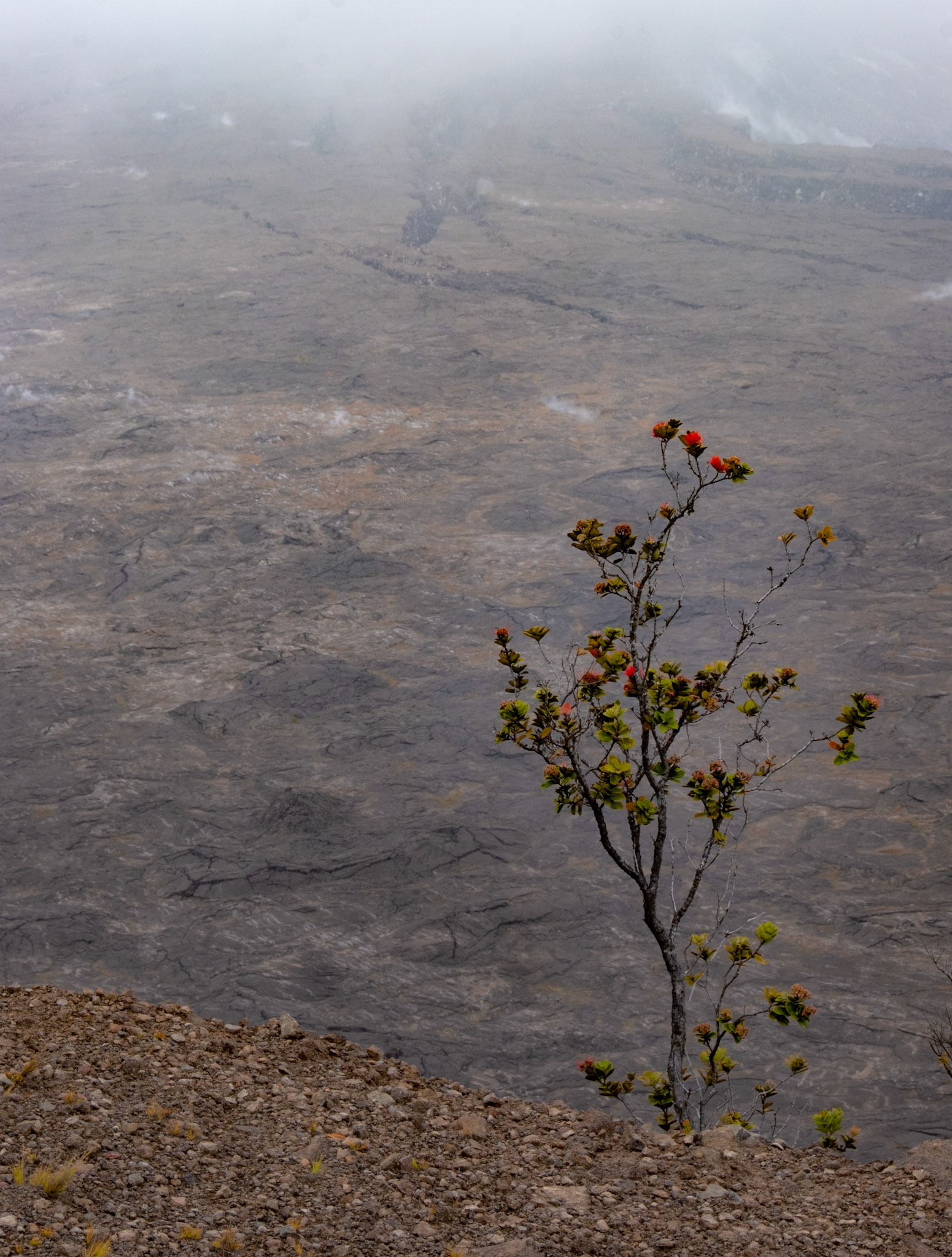Hawaii Volcanoes National Park, Hawaii