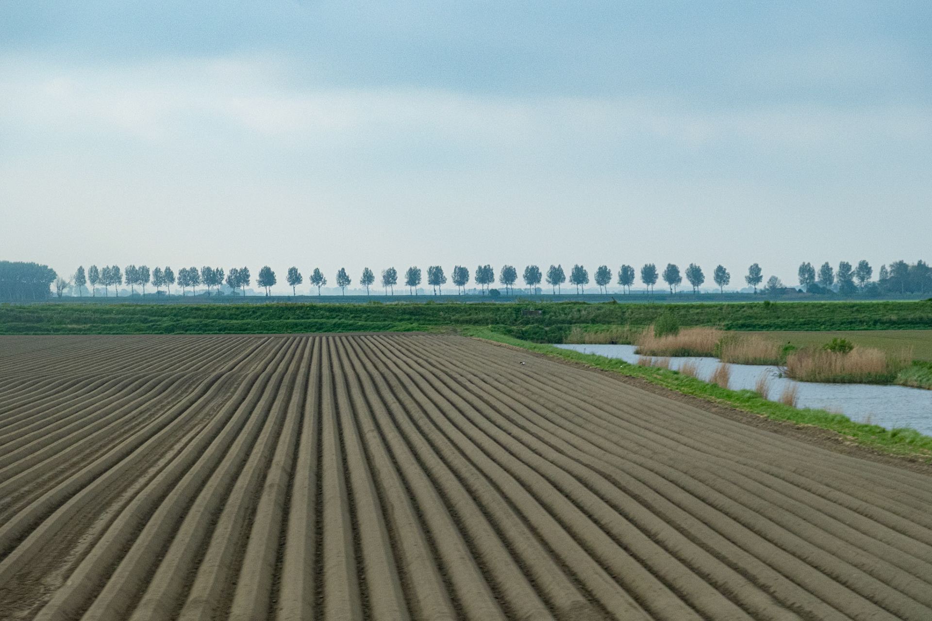 Zeeland, The Netherlands