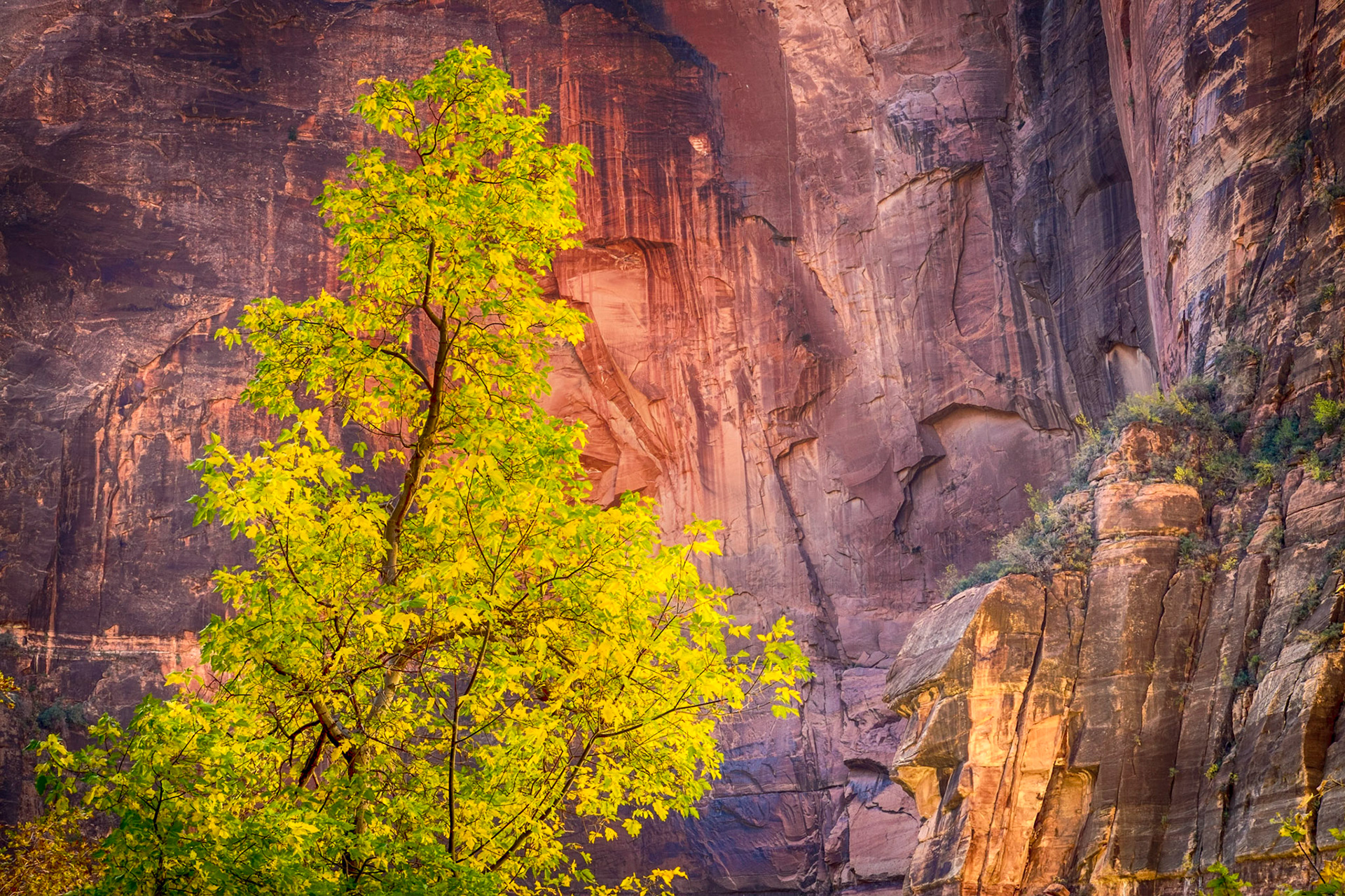Zion National Park, Utah