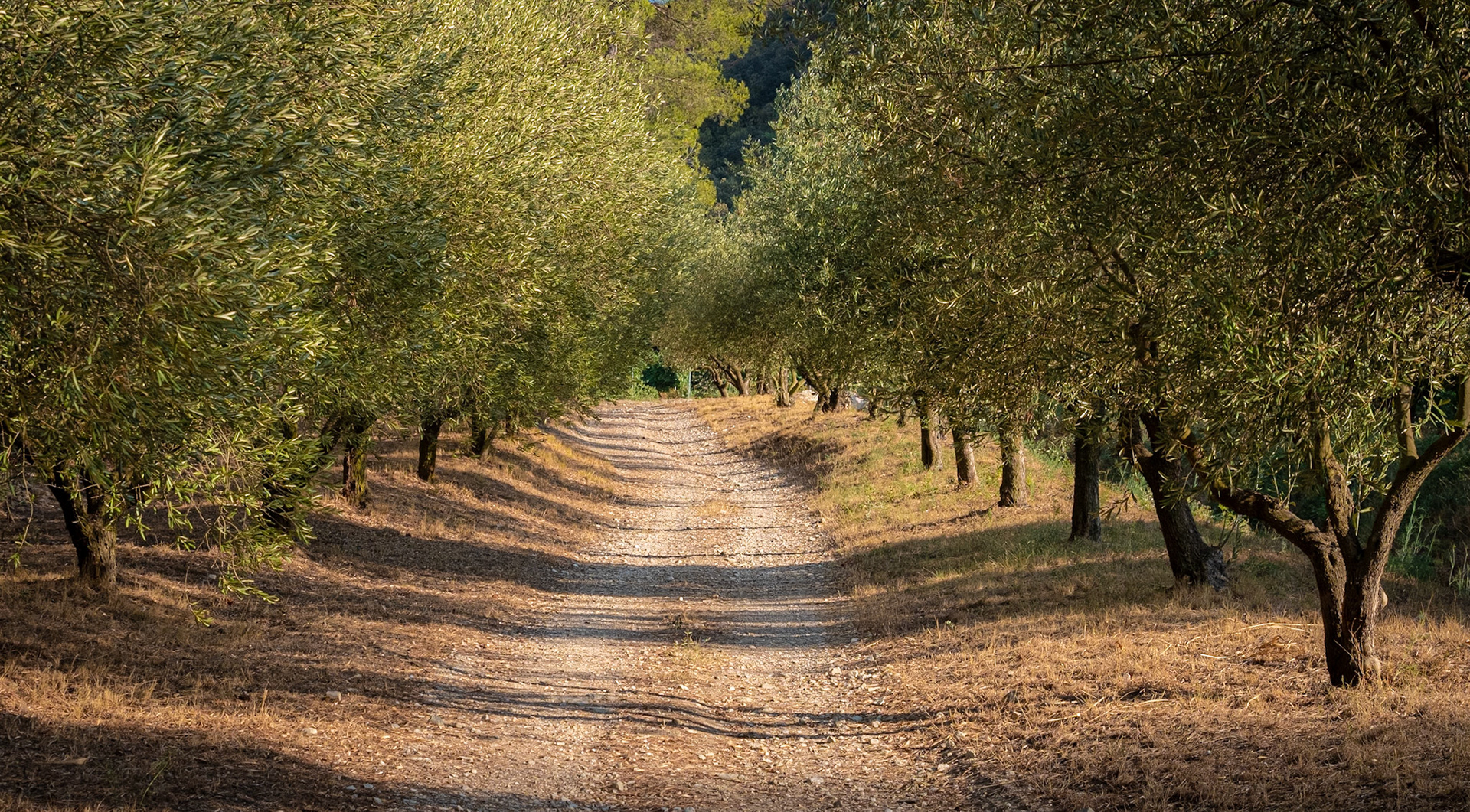 Provence, France