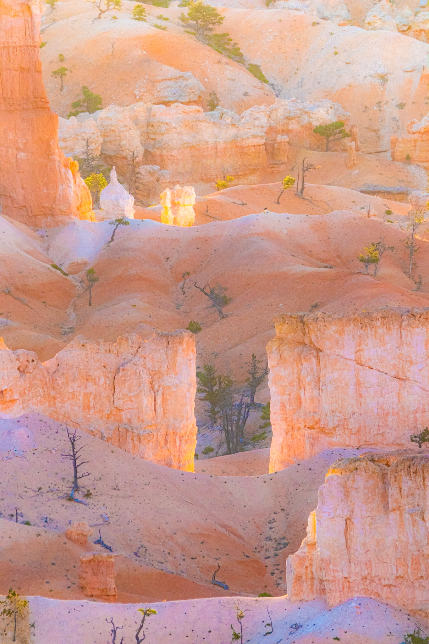 Bryce Canyon National Park, Utah