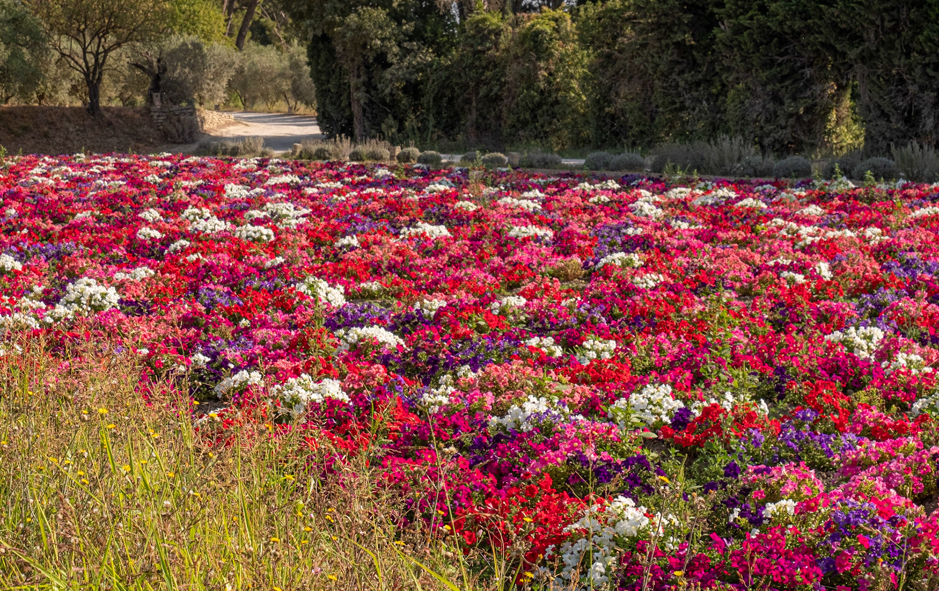 Provence, France