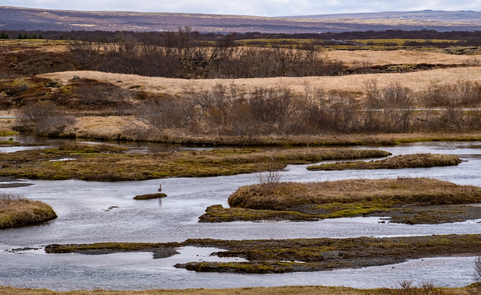 Þingvellir National Park, Golden CIrcle, Iceland