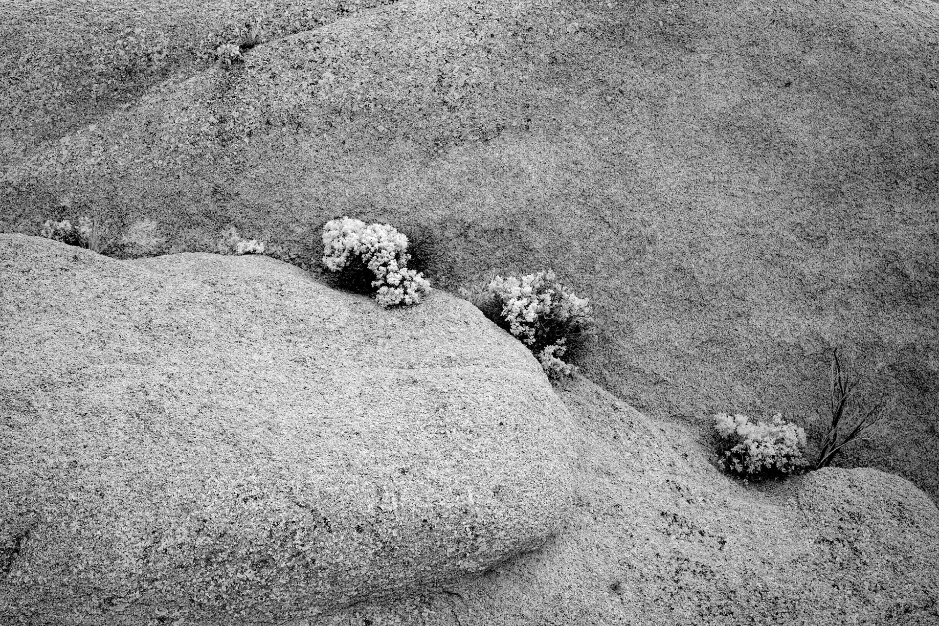 Joshua Tree National Park, California