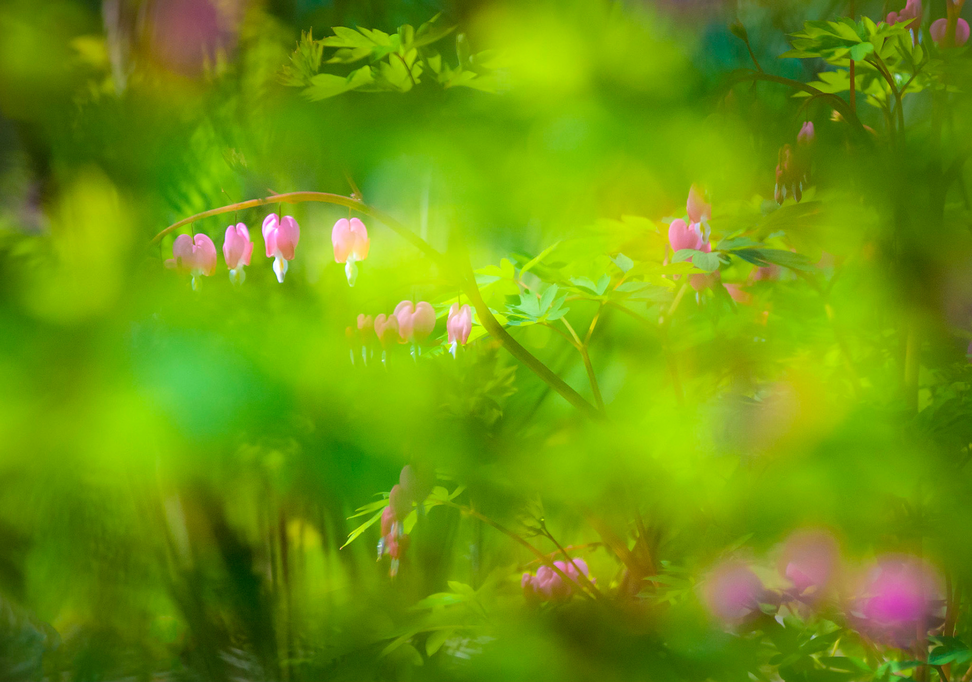 Dresher, Pennsylvania