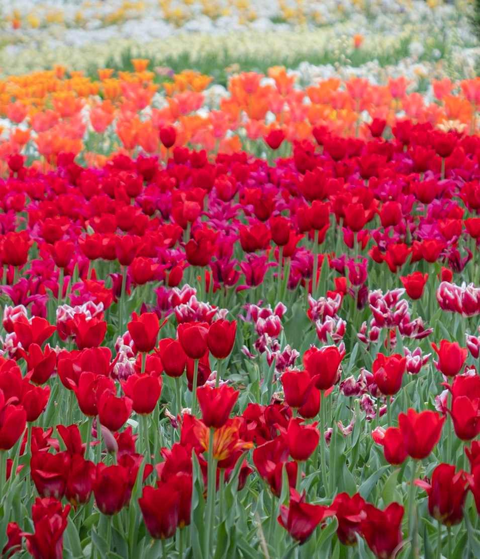 Longwood Gardens