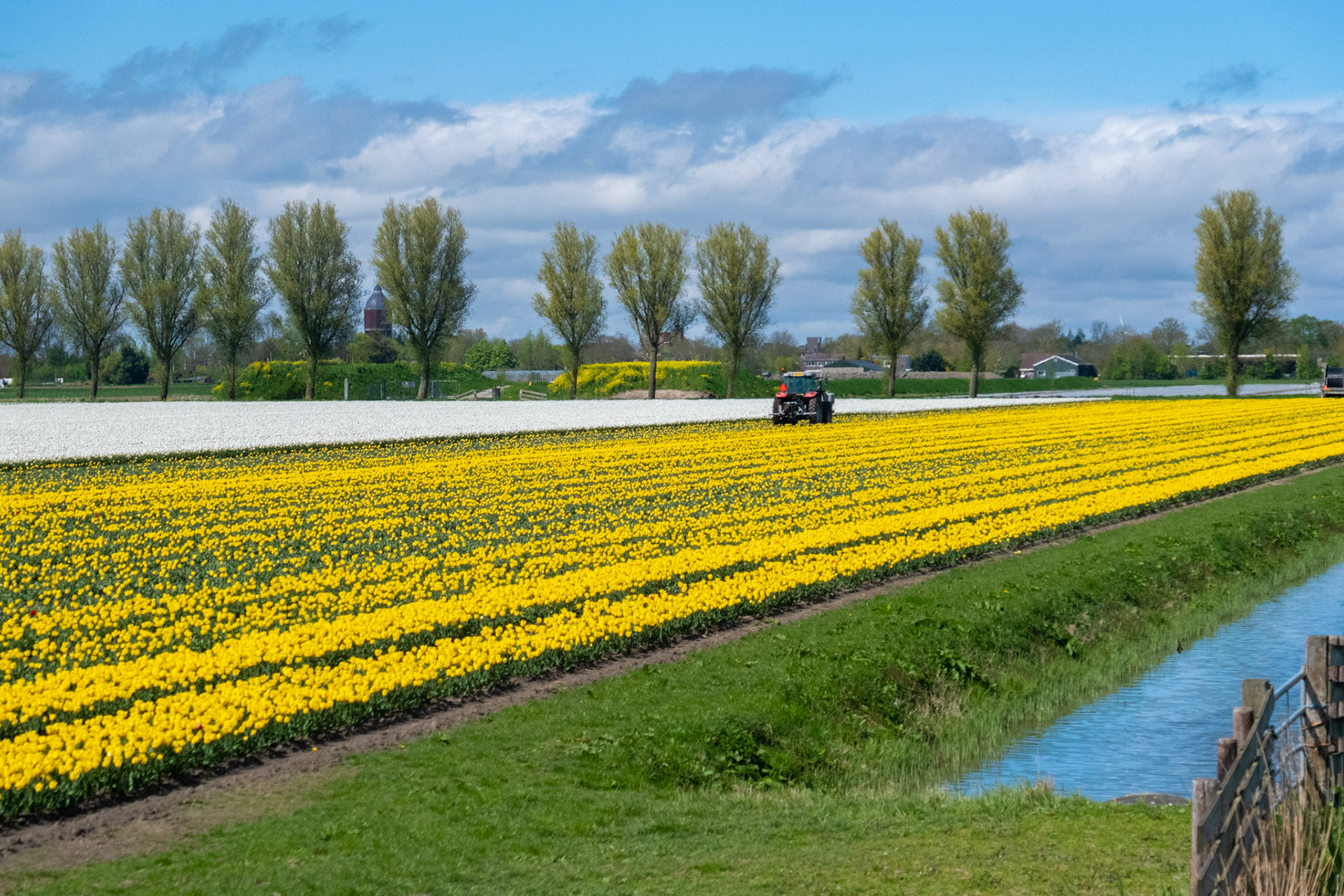 North Holland, The Netherlands
