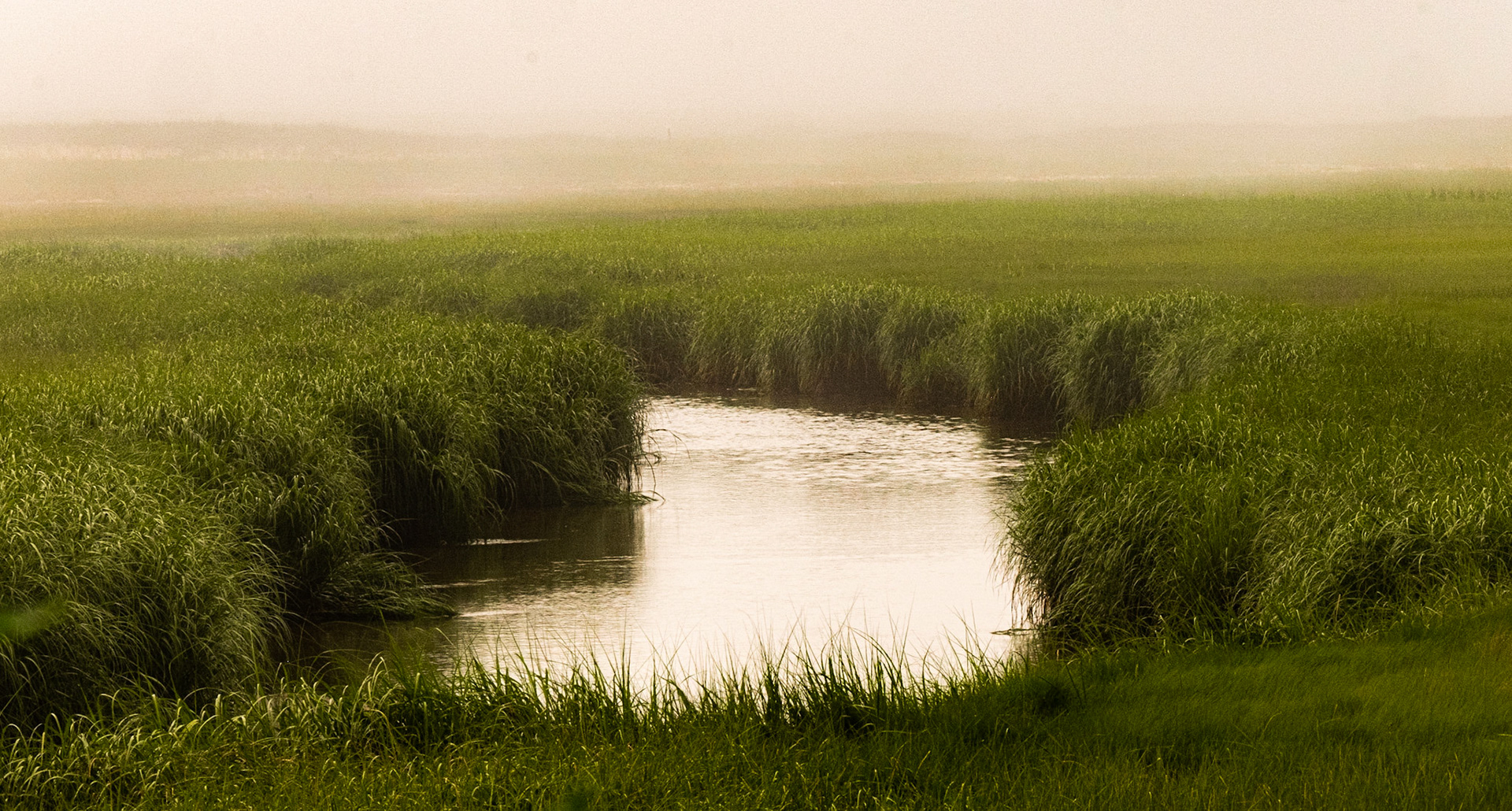 Pochet Neck, Cape Cod, Massachusetts