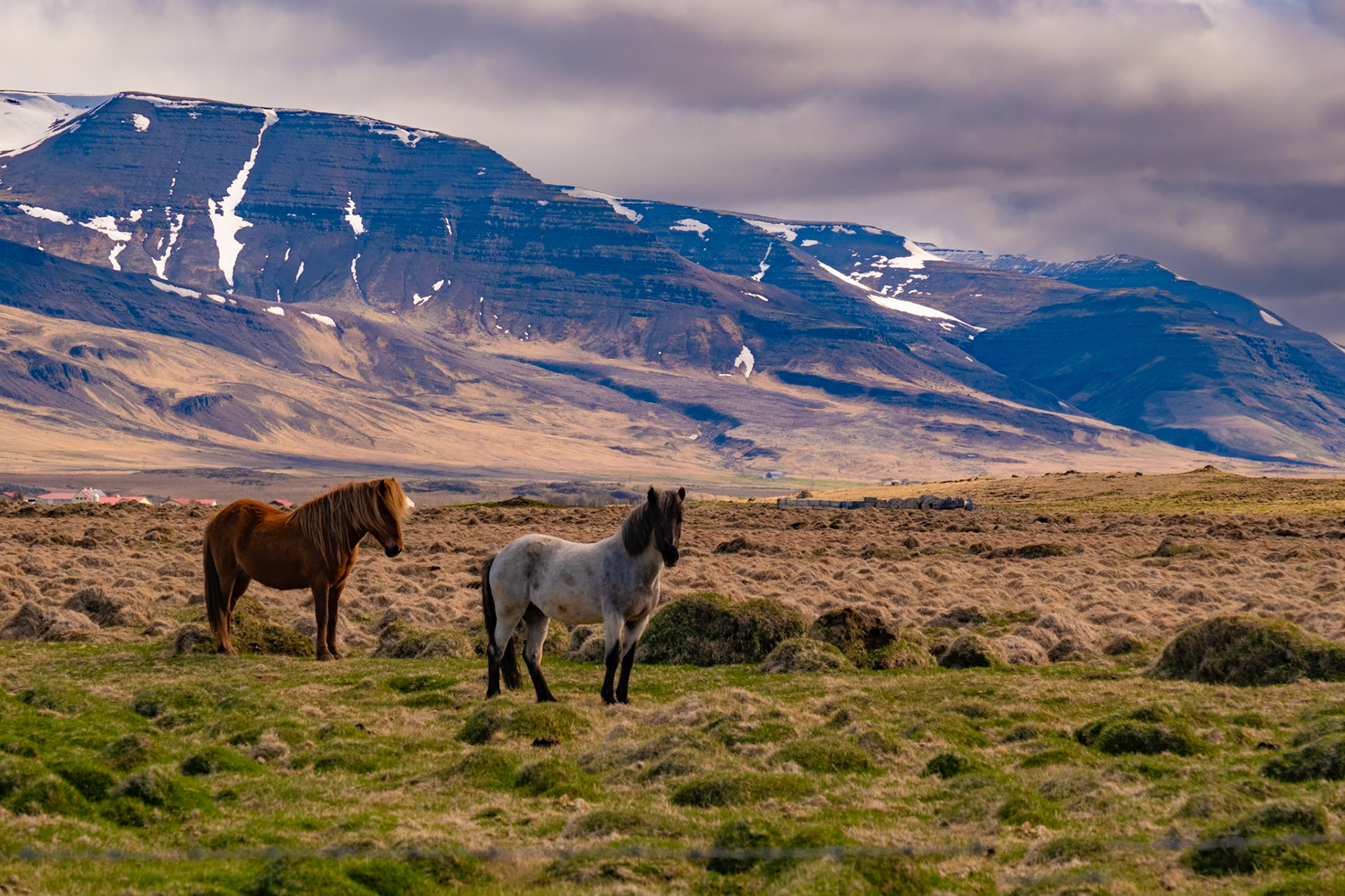 Snæfellsnes Peninsula, Iceland