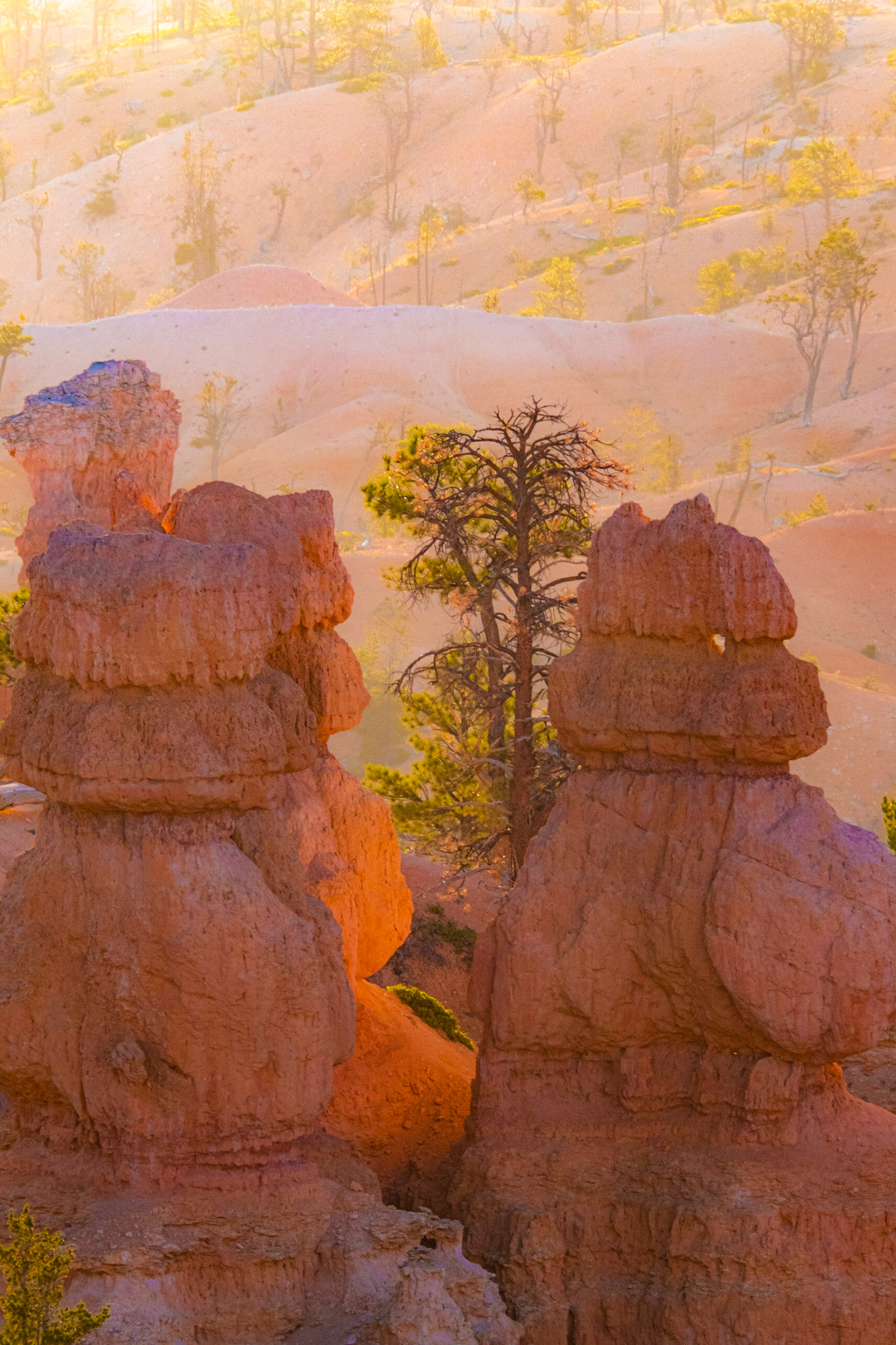 Bryce Canyon National Park, Utah