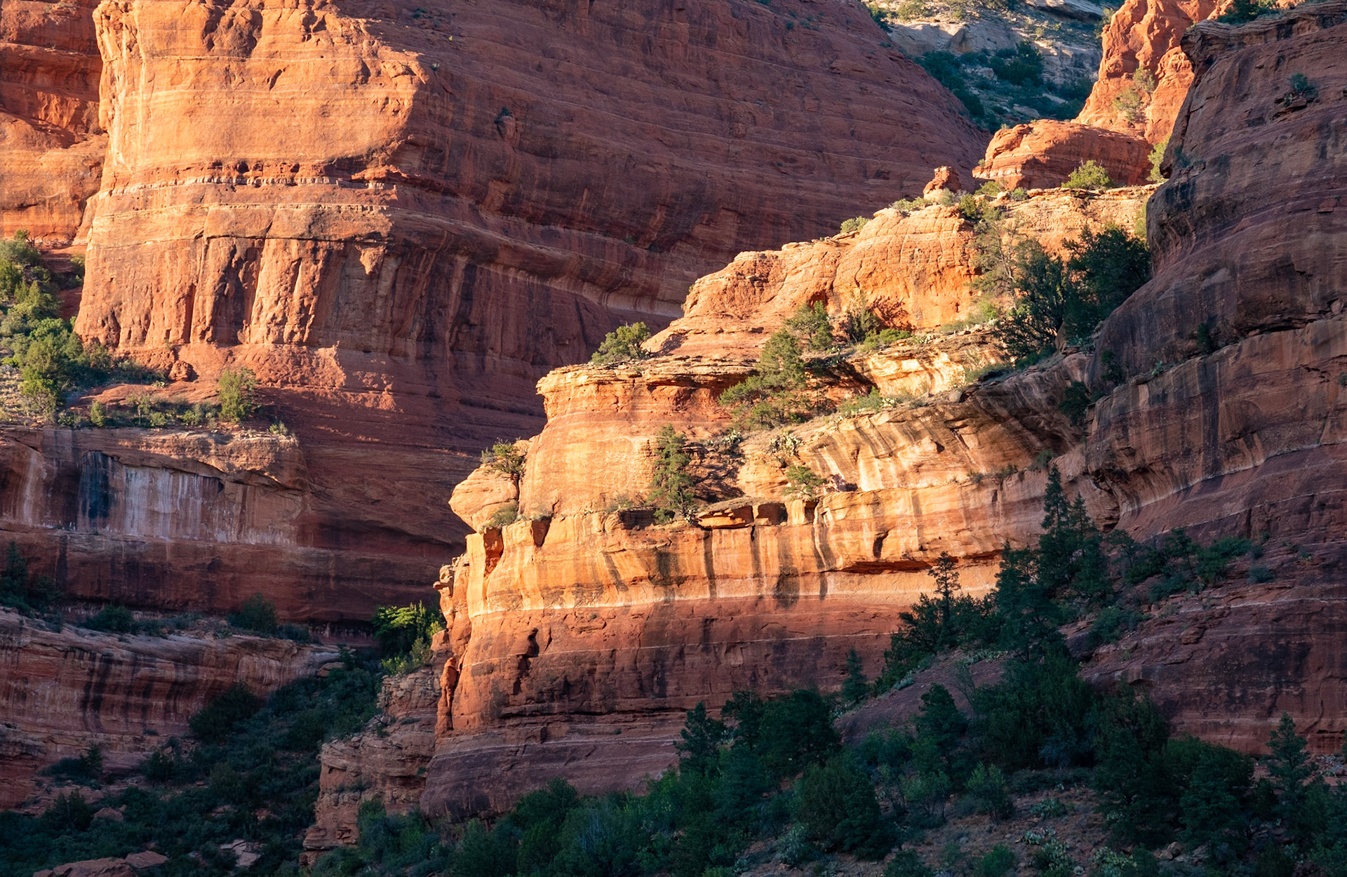 Boynton Canyon, Sedona, Arizona