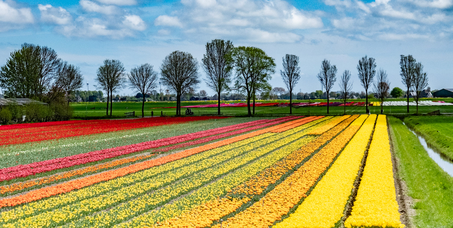 North Holland, The Netherlands