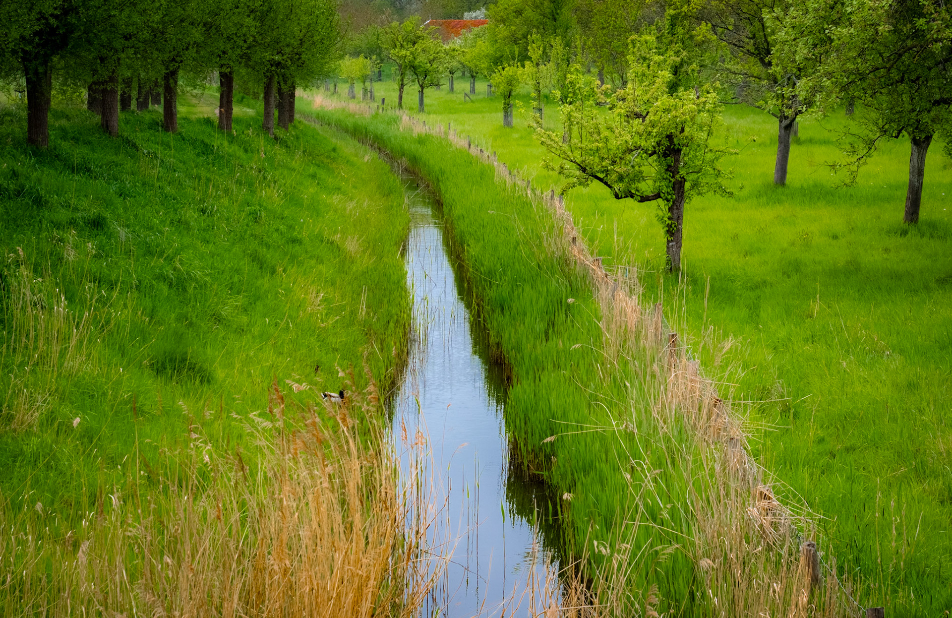 Veere, The Netherlands