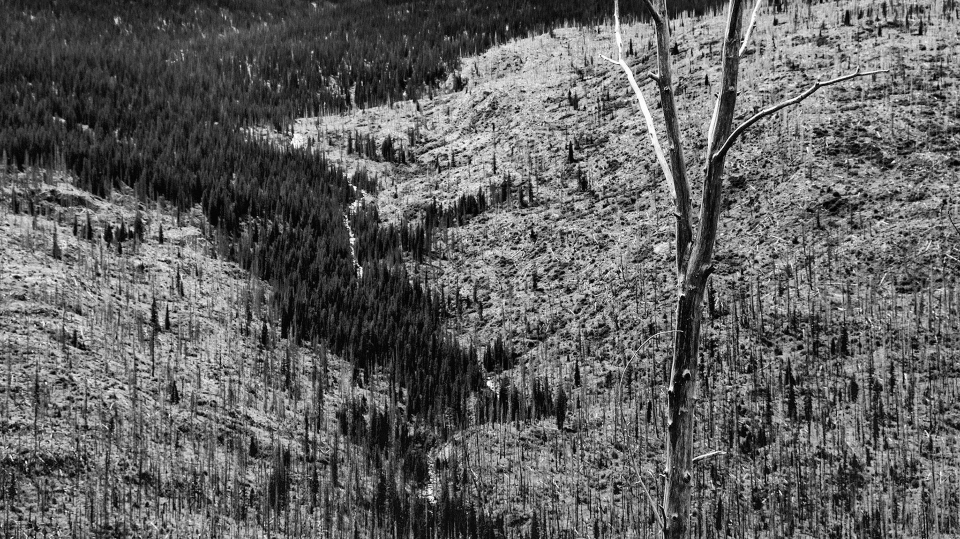 Glacier National Park, Montana