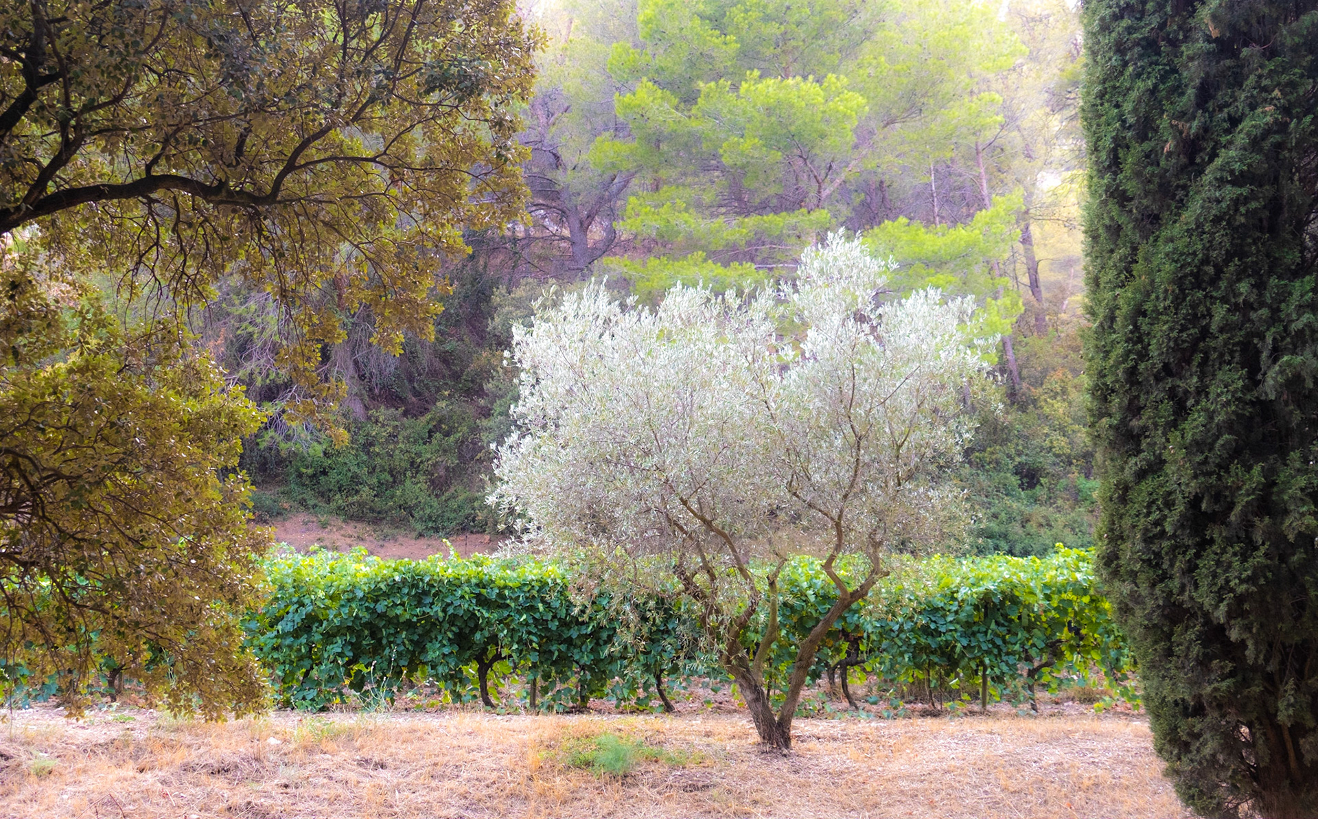 Provence, France