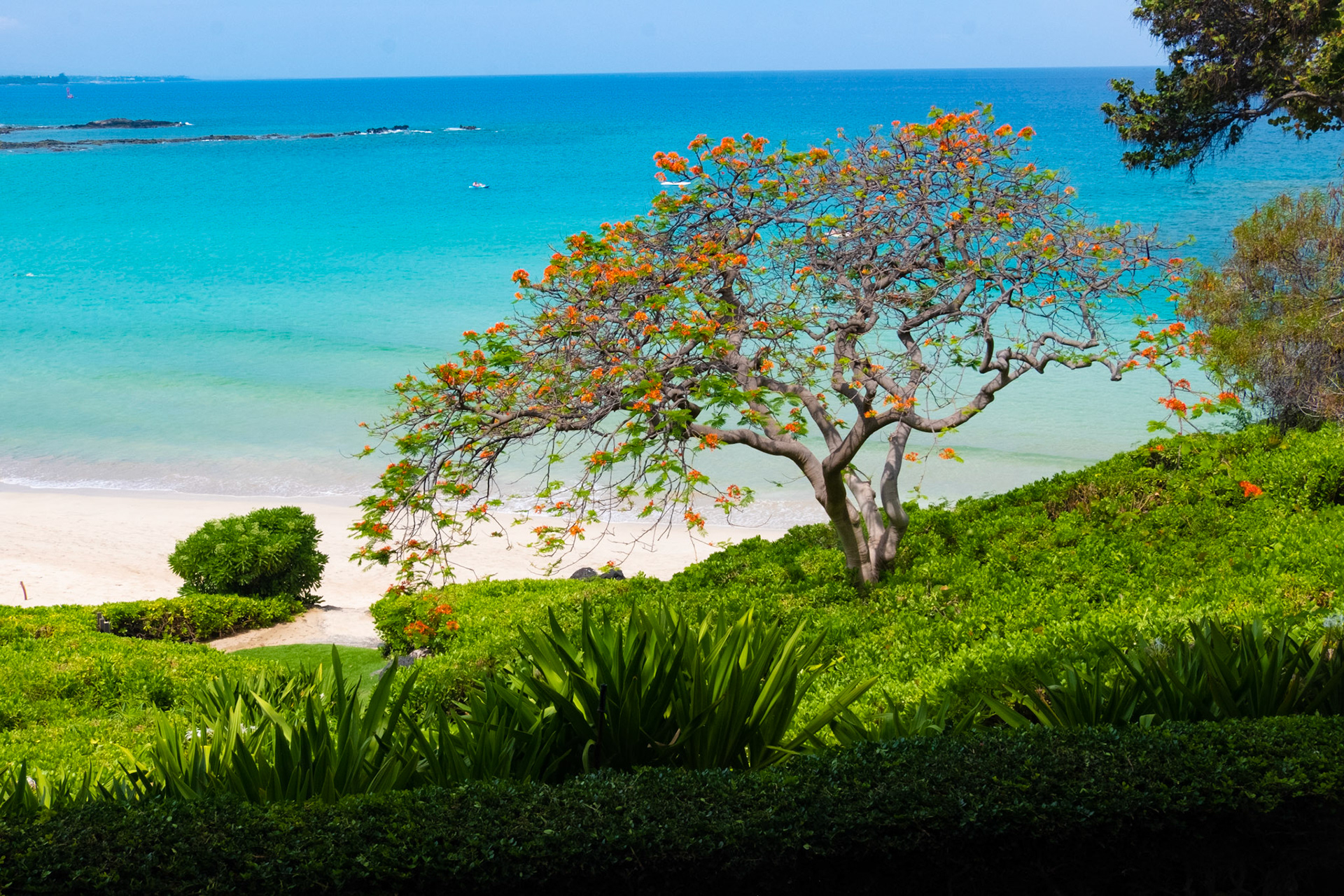 Mauna Kea, Big Island, Hawaii