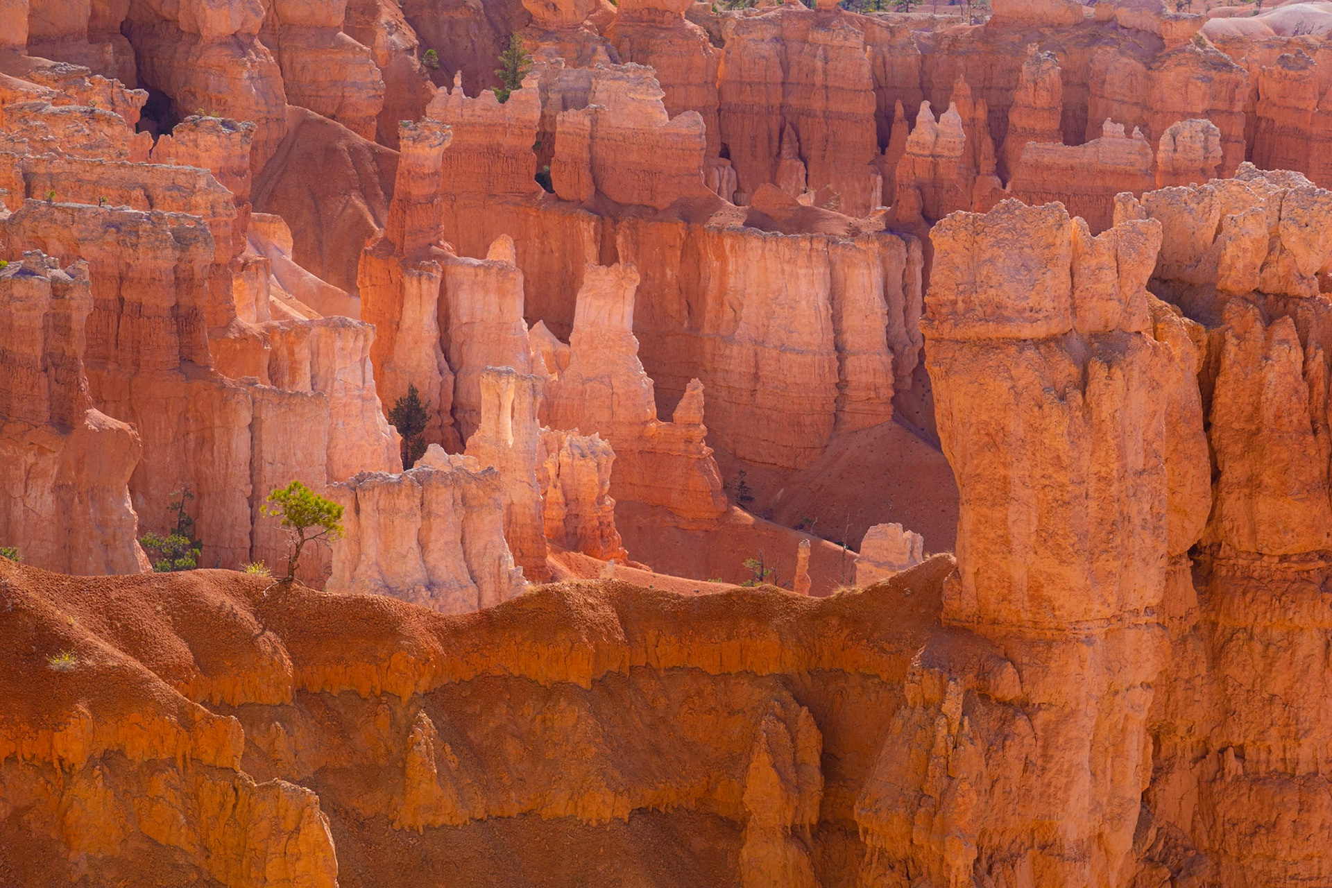 Bryce Canyon National Park, Utah