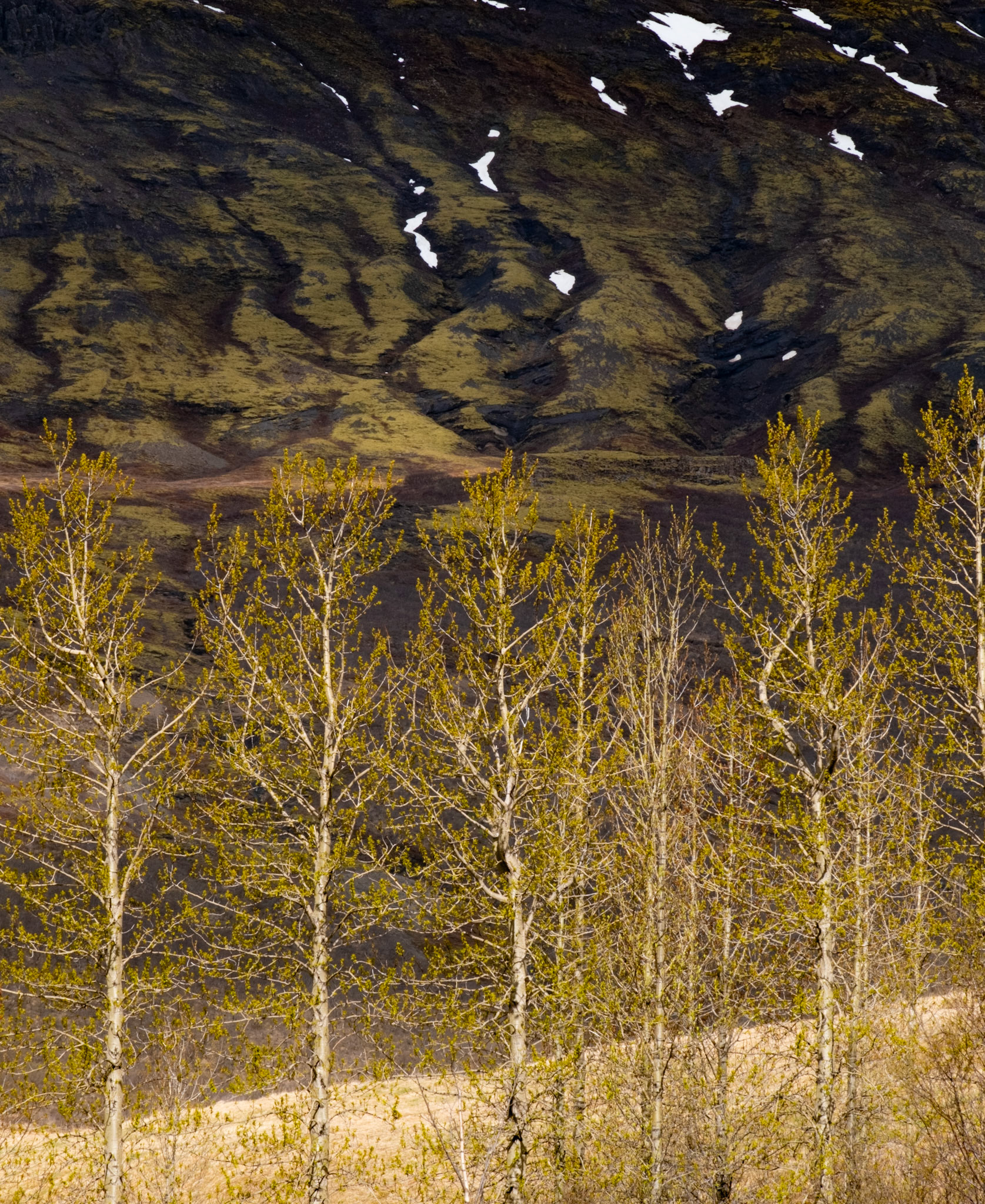 Geysir, Golden CIrcle, Iceland
