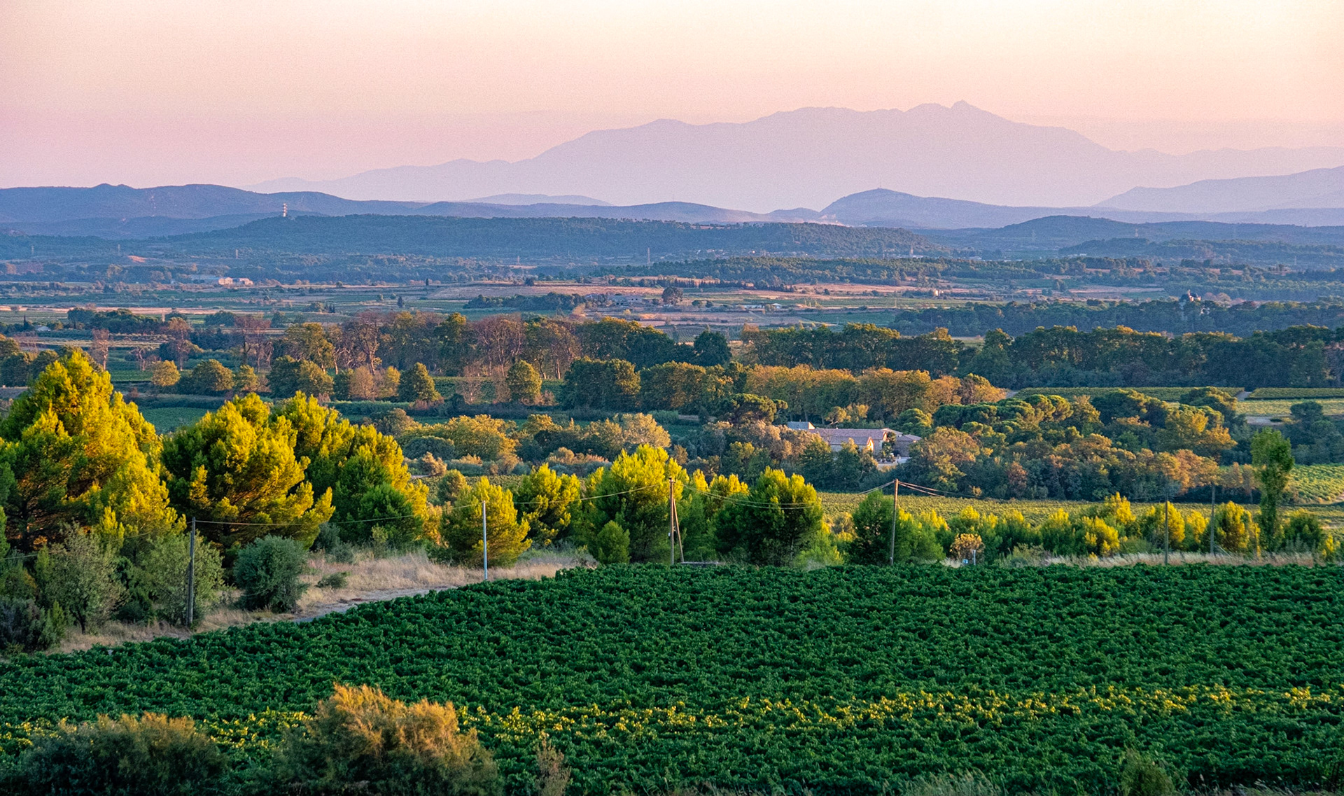 Languedoc, France