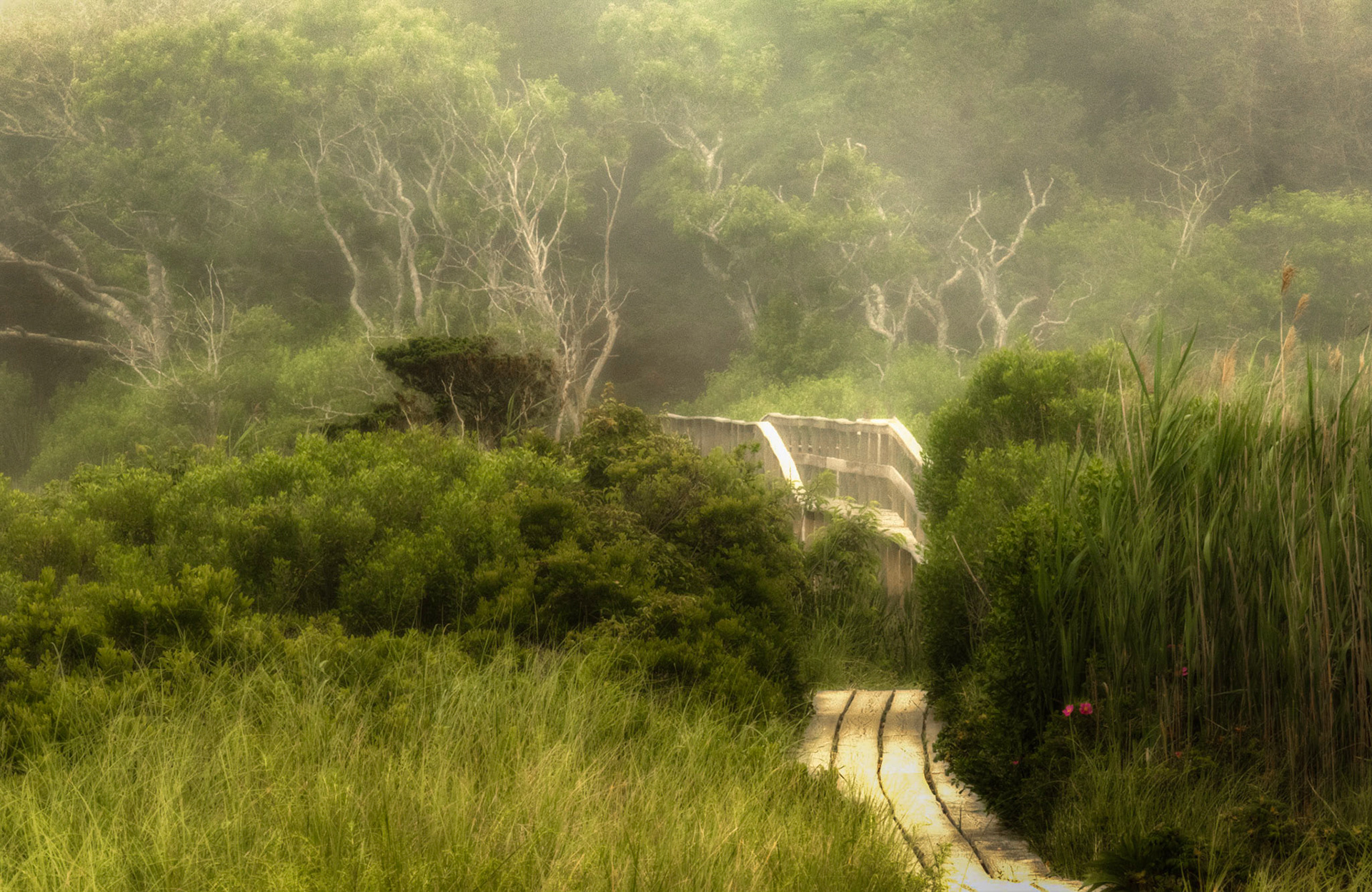 Pochet Neck, Cape Cod, Massachusetts