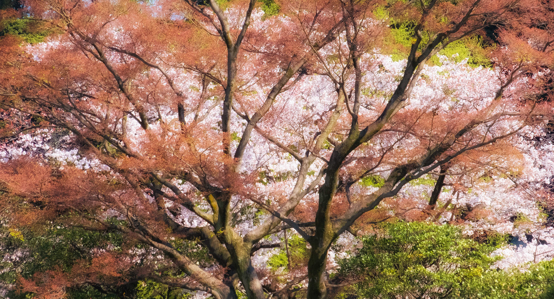 Tokyo, Japan